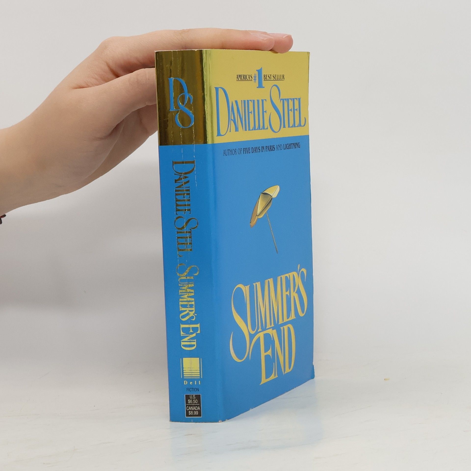 Danielle Steel Summer's End