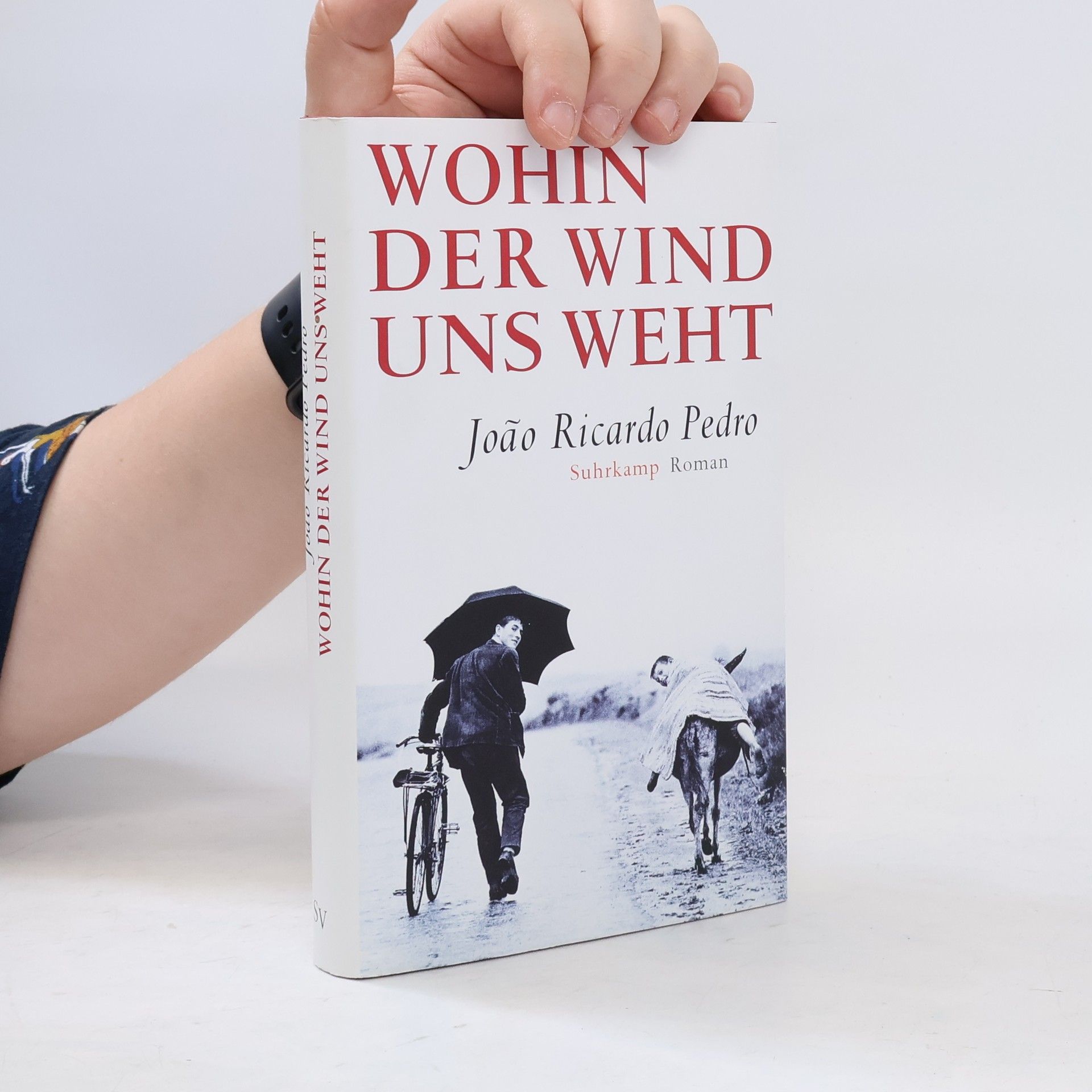 João Ricardo Pedro Wohin der Wind uns weht