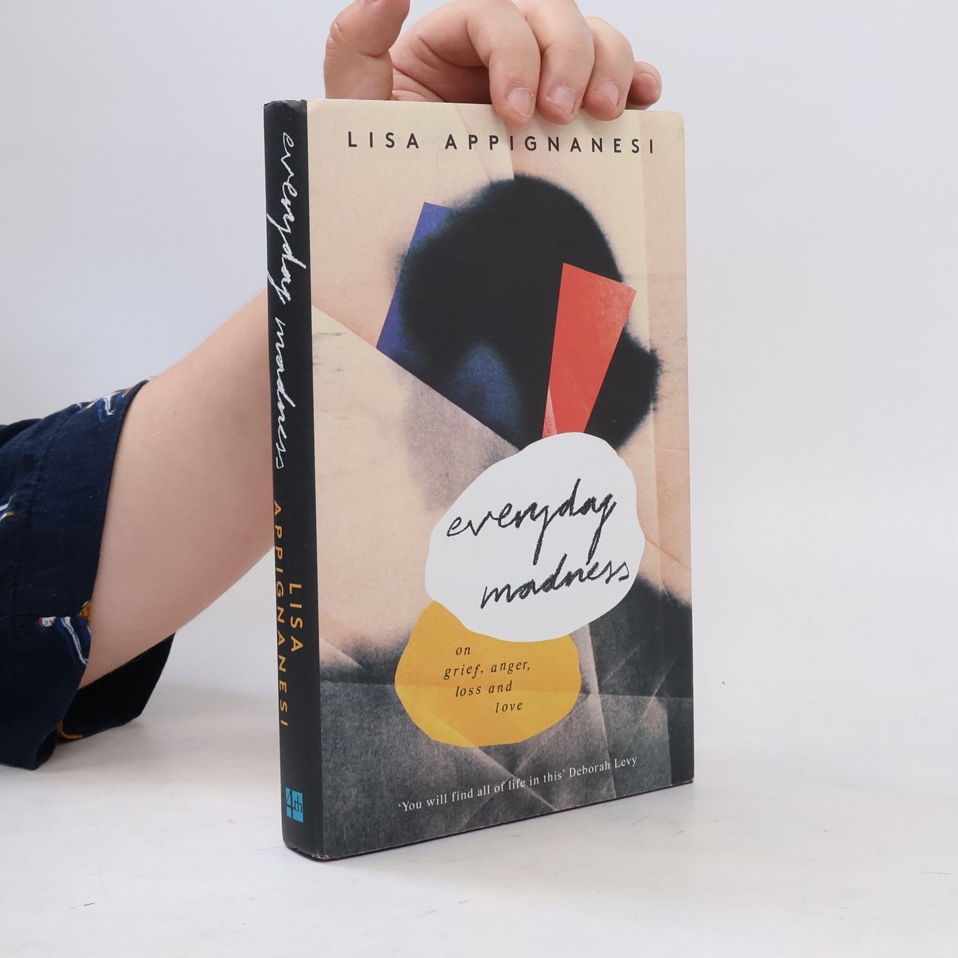 Lisa Appignanesi Everyday Madness