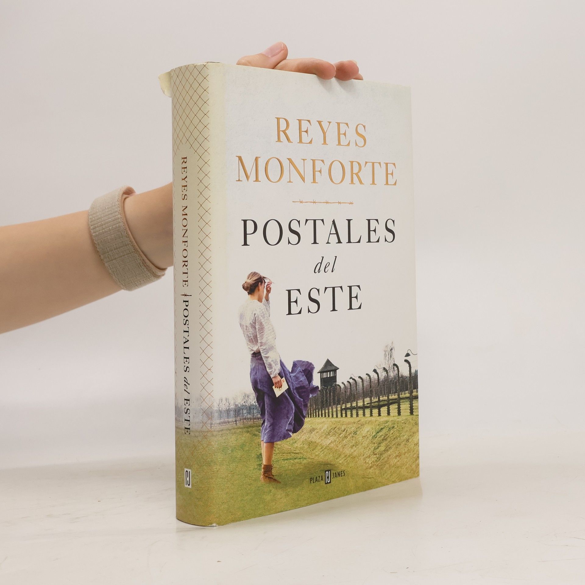Reyes Monforte Postales del este