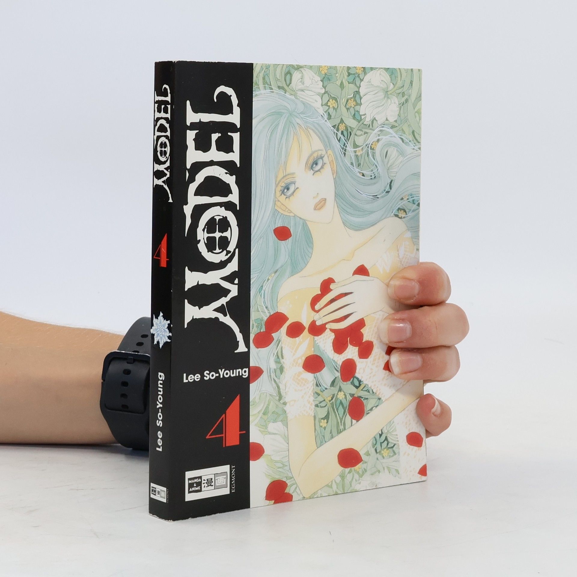 kolektiv Model