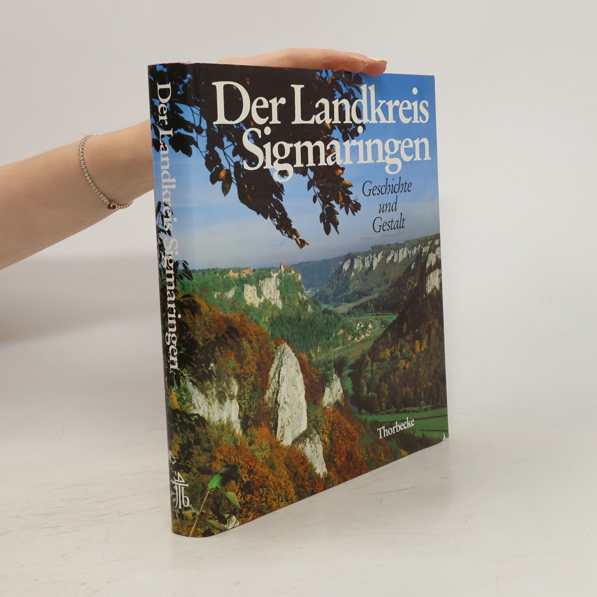 Gregor Richter Der Landkreis Sigmaringen