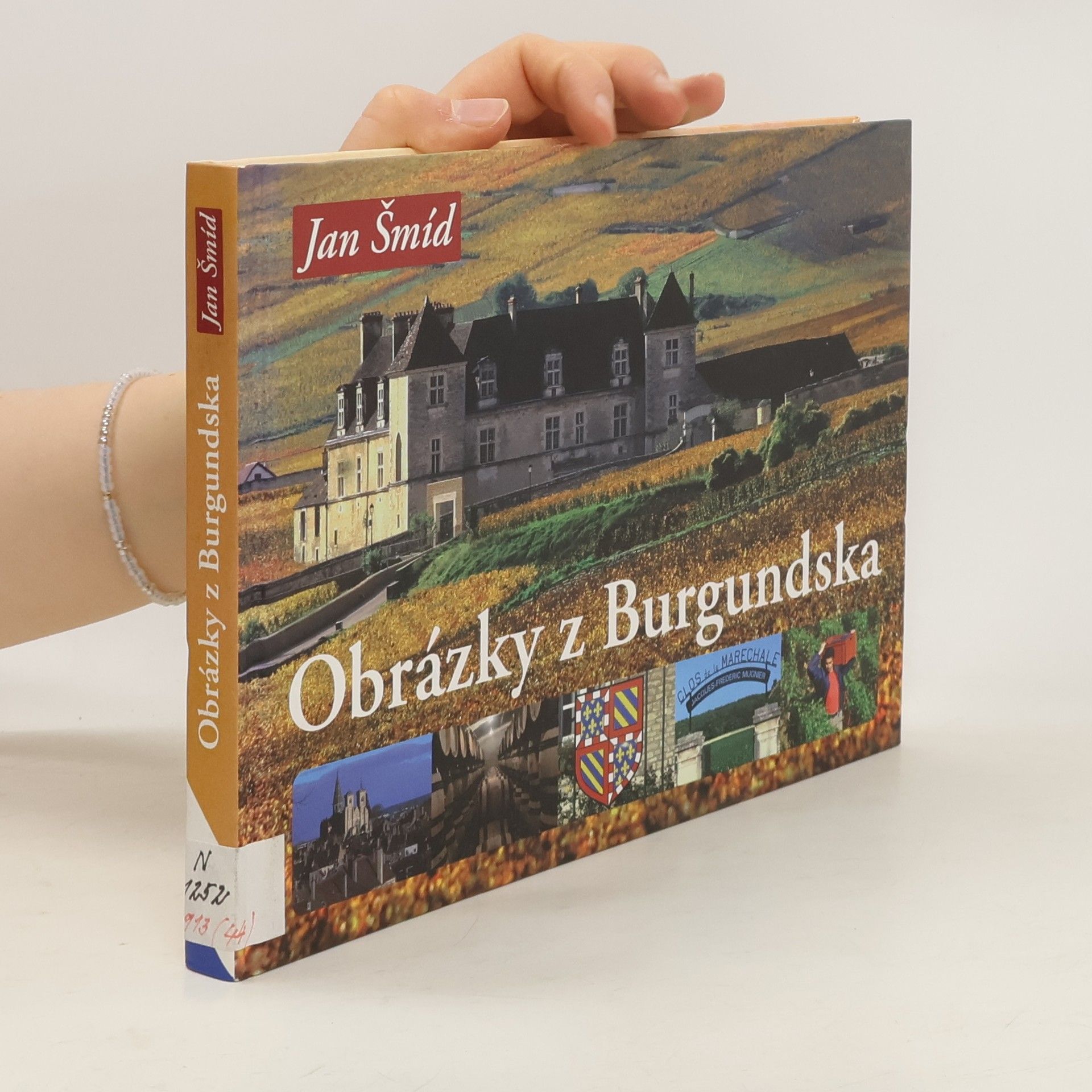 Jan Šmíd Obrázky z Burgundska