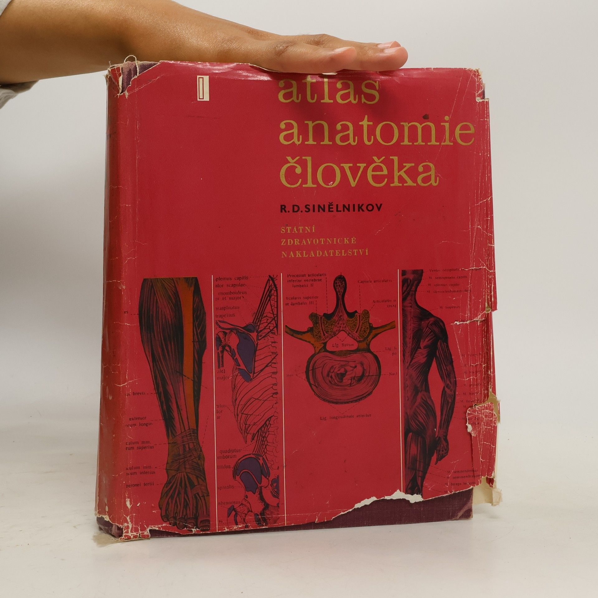 R. D. Sinělnikov Atlas anatomie člověka I.