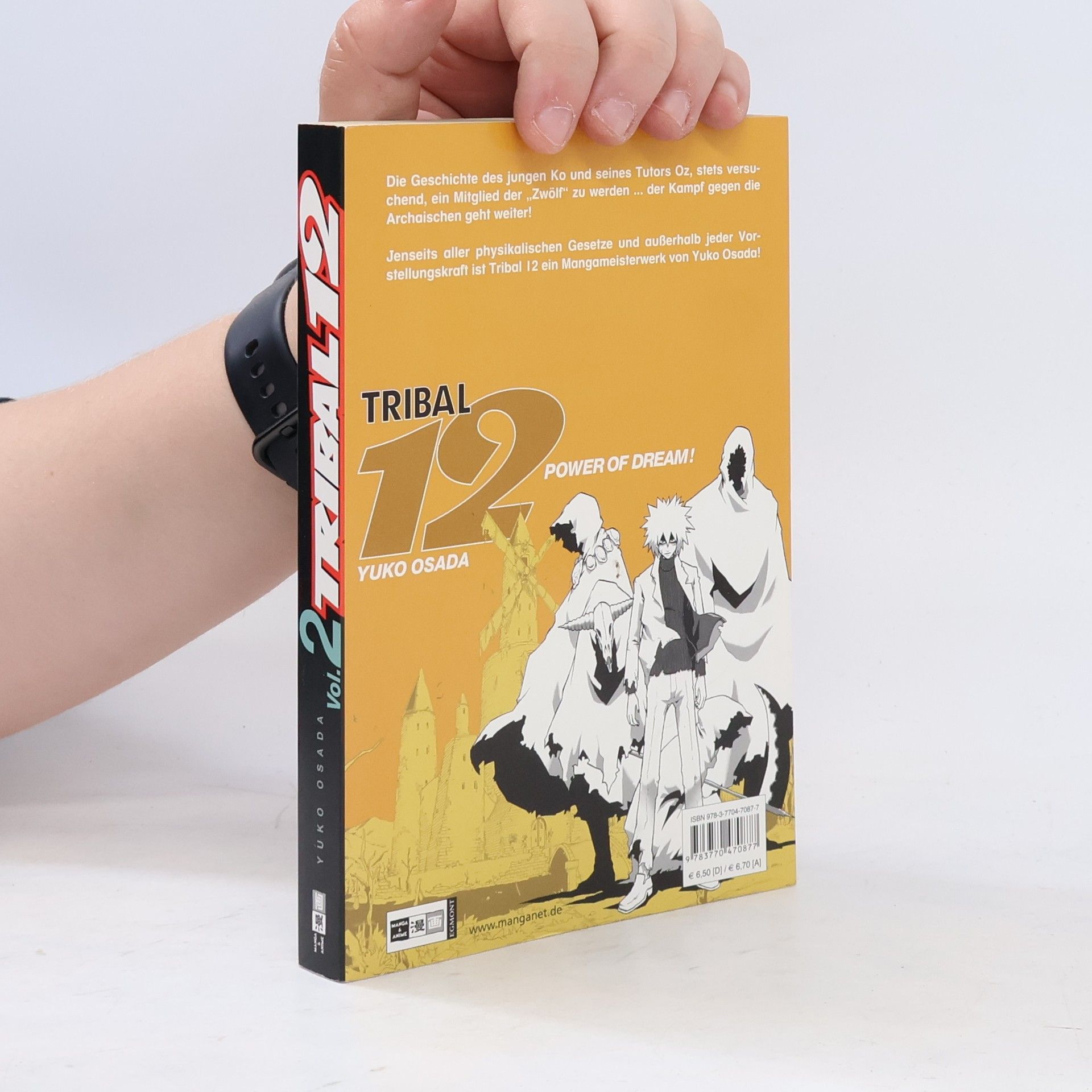 Yuko Osada Tribal 12 vol.2