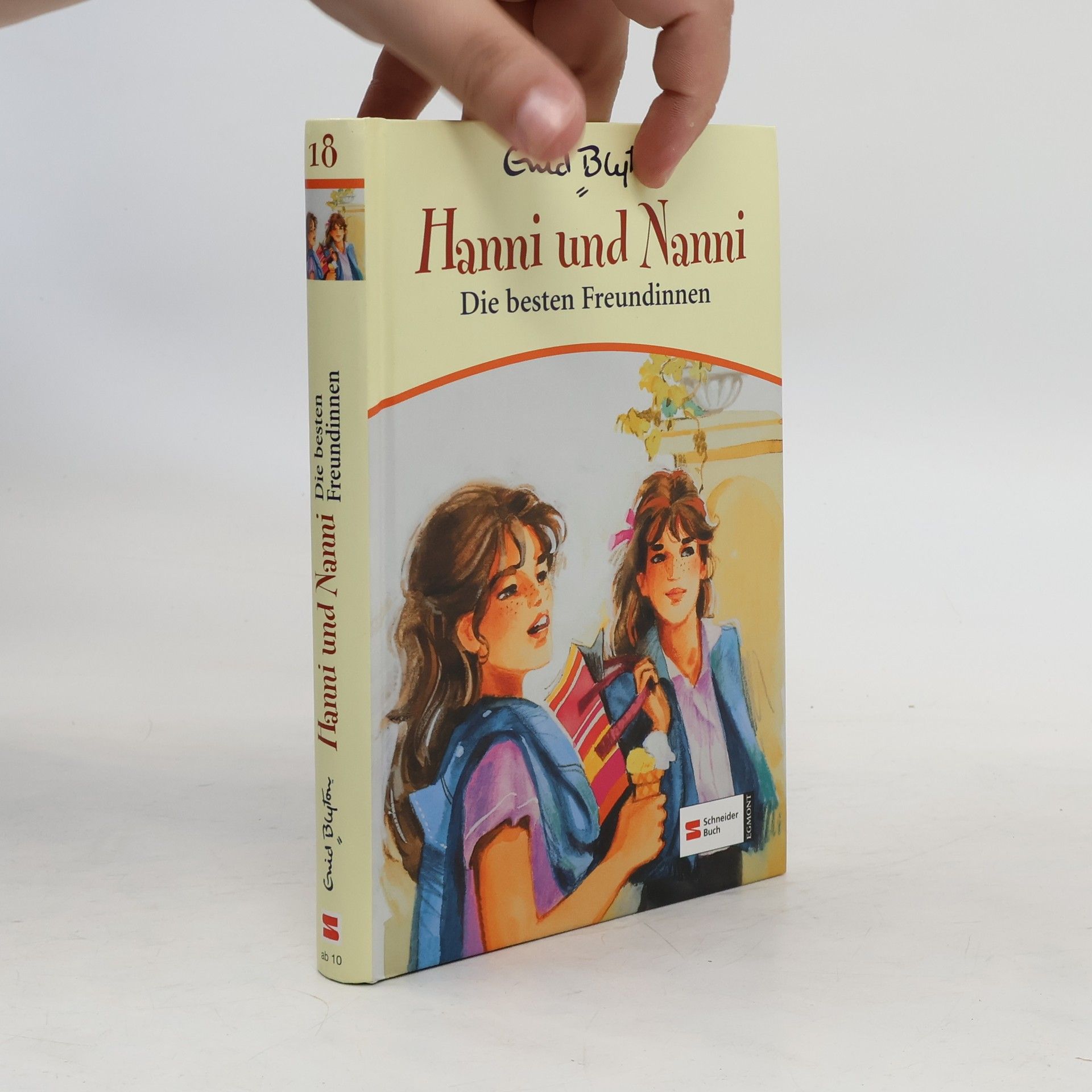 Enid Blyton Hanni & Nanni 18. Die besten Freundinnen