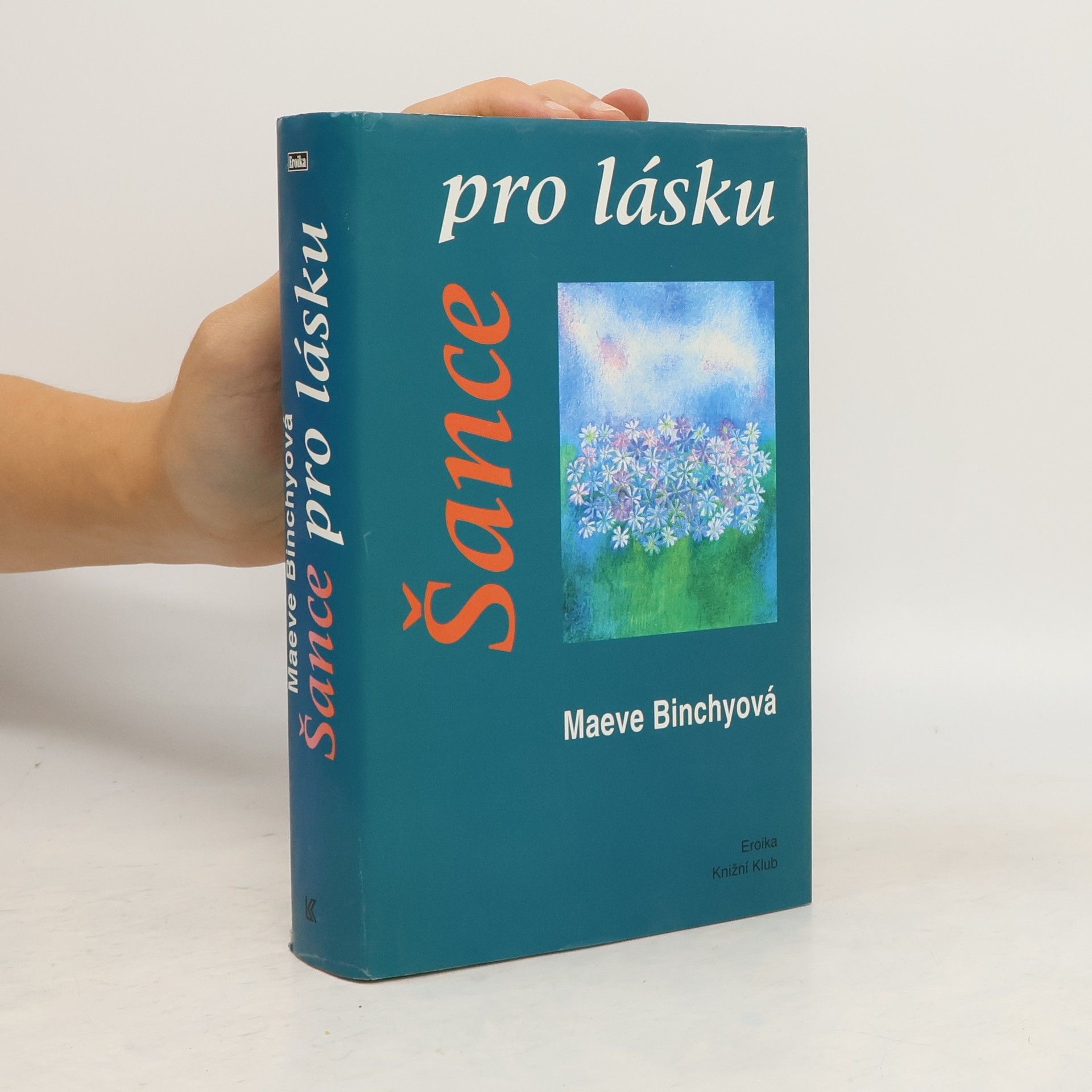 Maeve Binchy Šance pro lásku