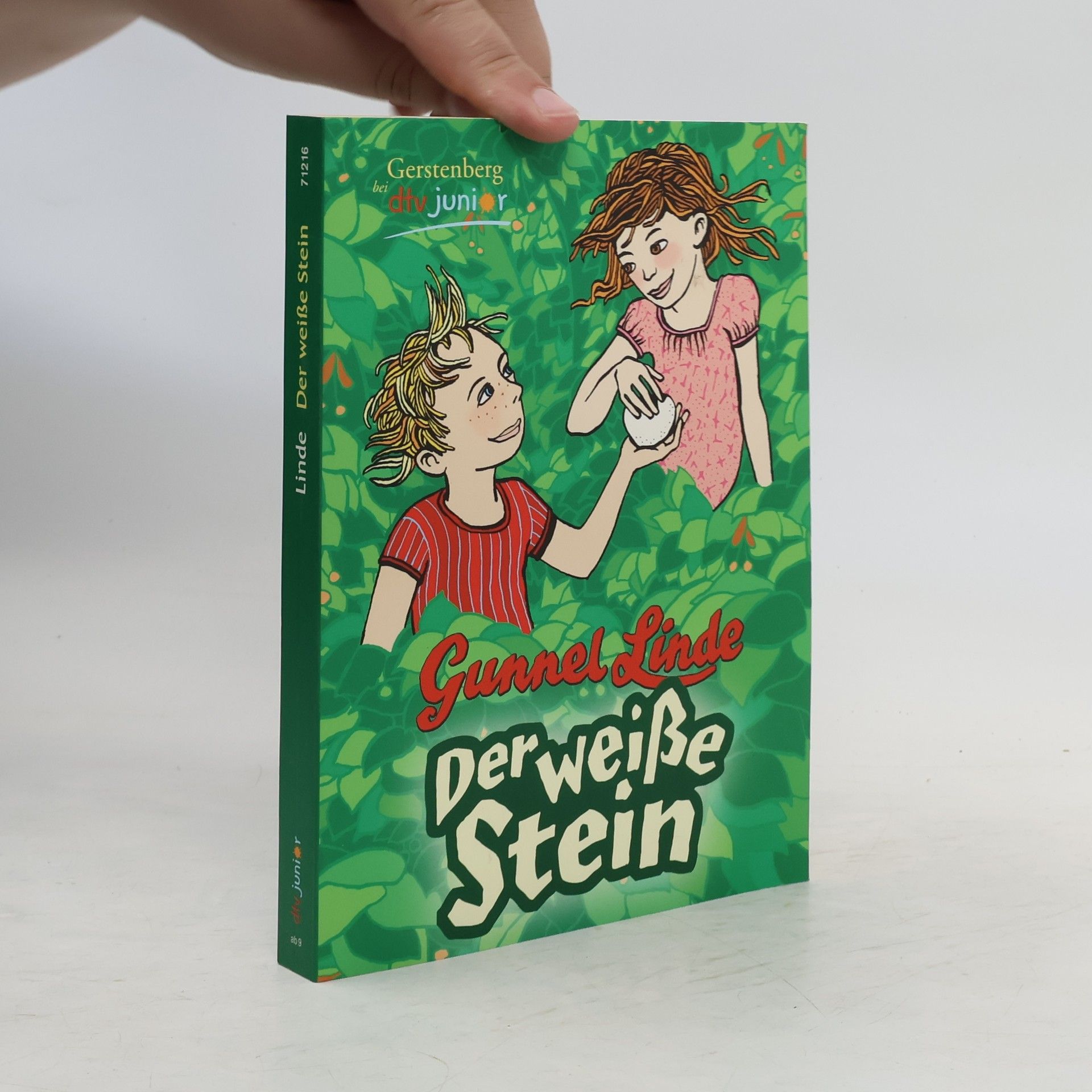 Gunnel Linde Der weiße Stein