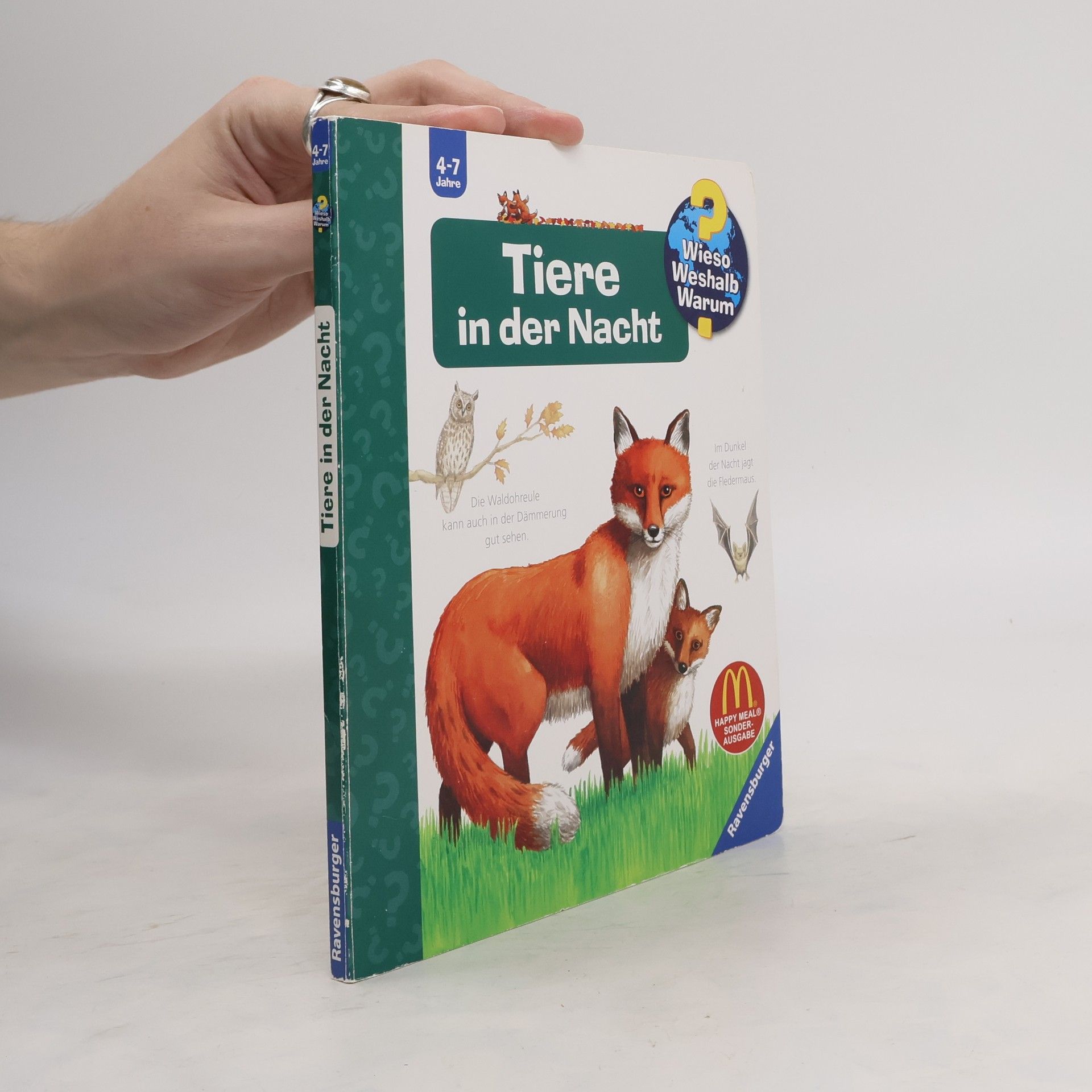 Autorenkollektiv Tiere in der Nacht