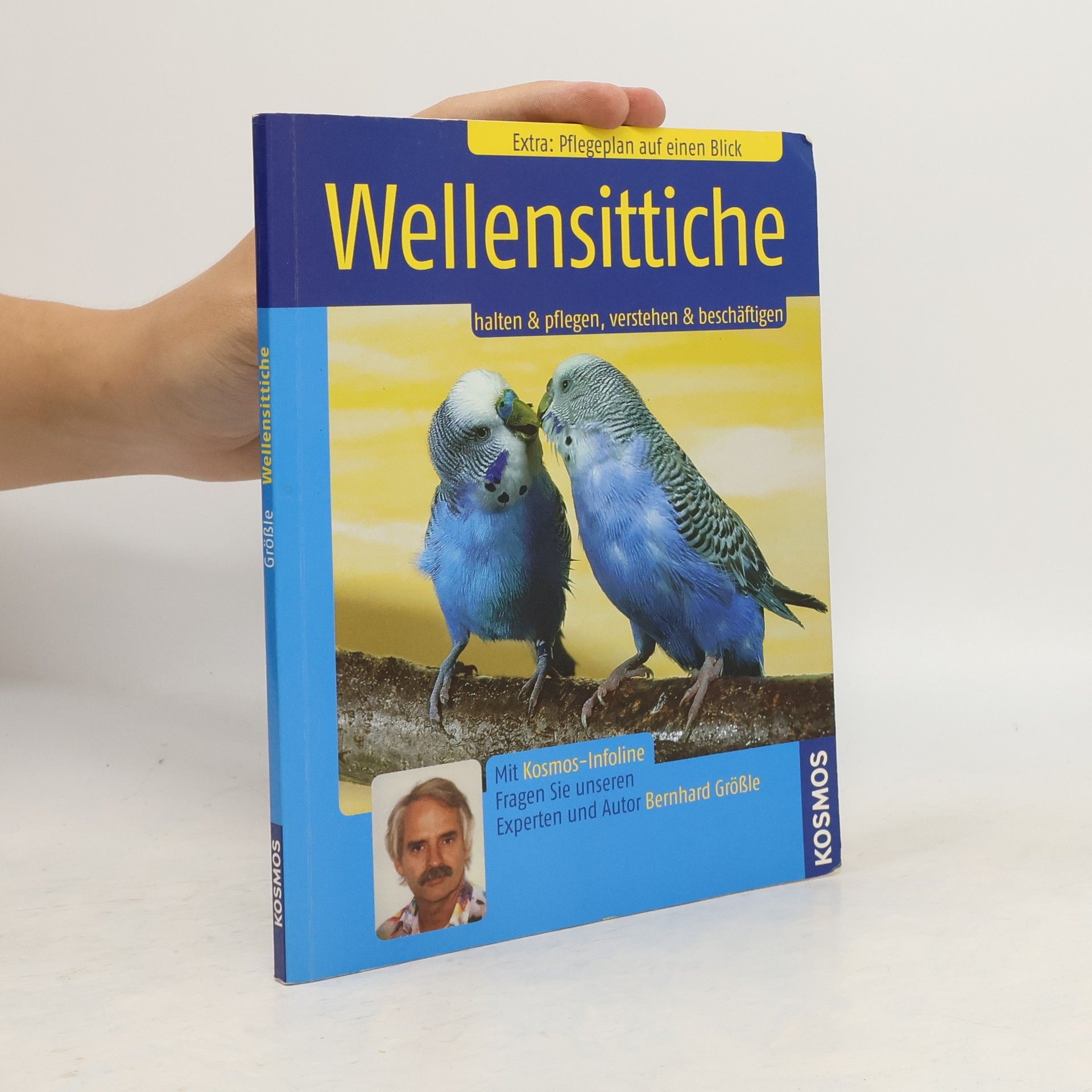 Bernhard Größle Wellensittiche
