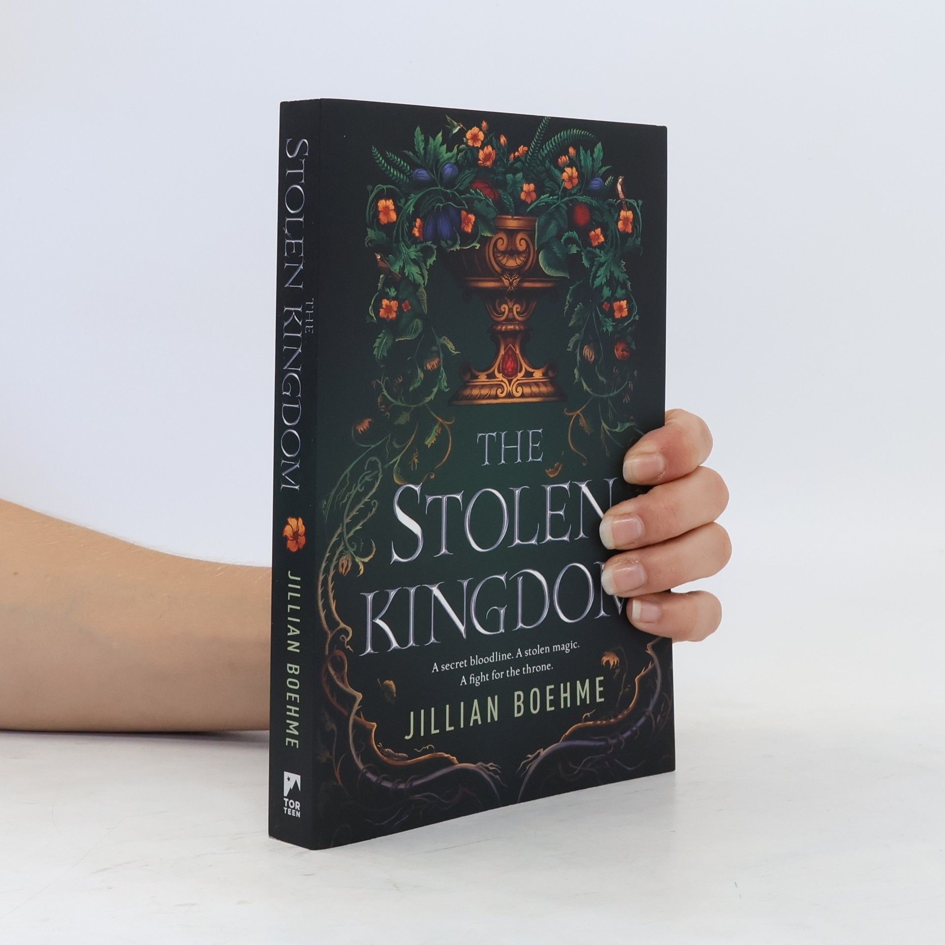 Jillian Boehme The Stolen Kingdom