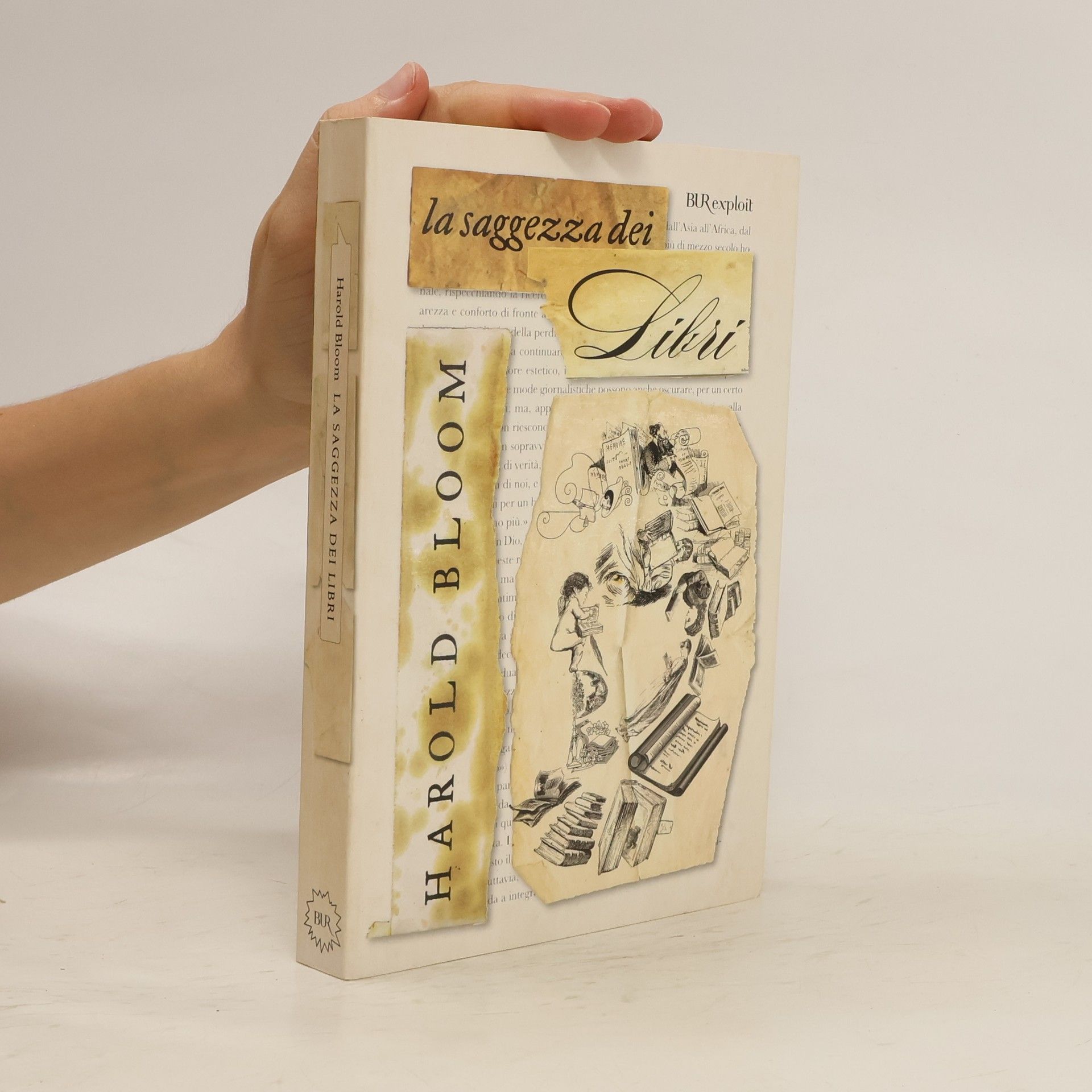Harold Bloom La saggezza dei libri