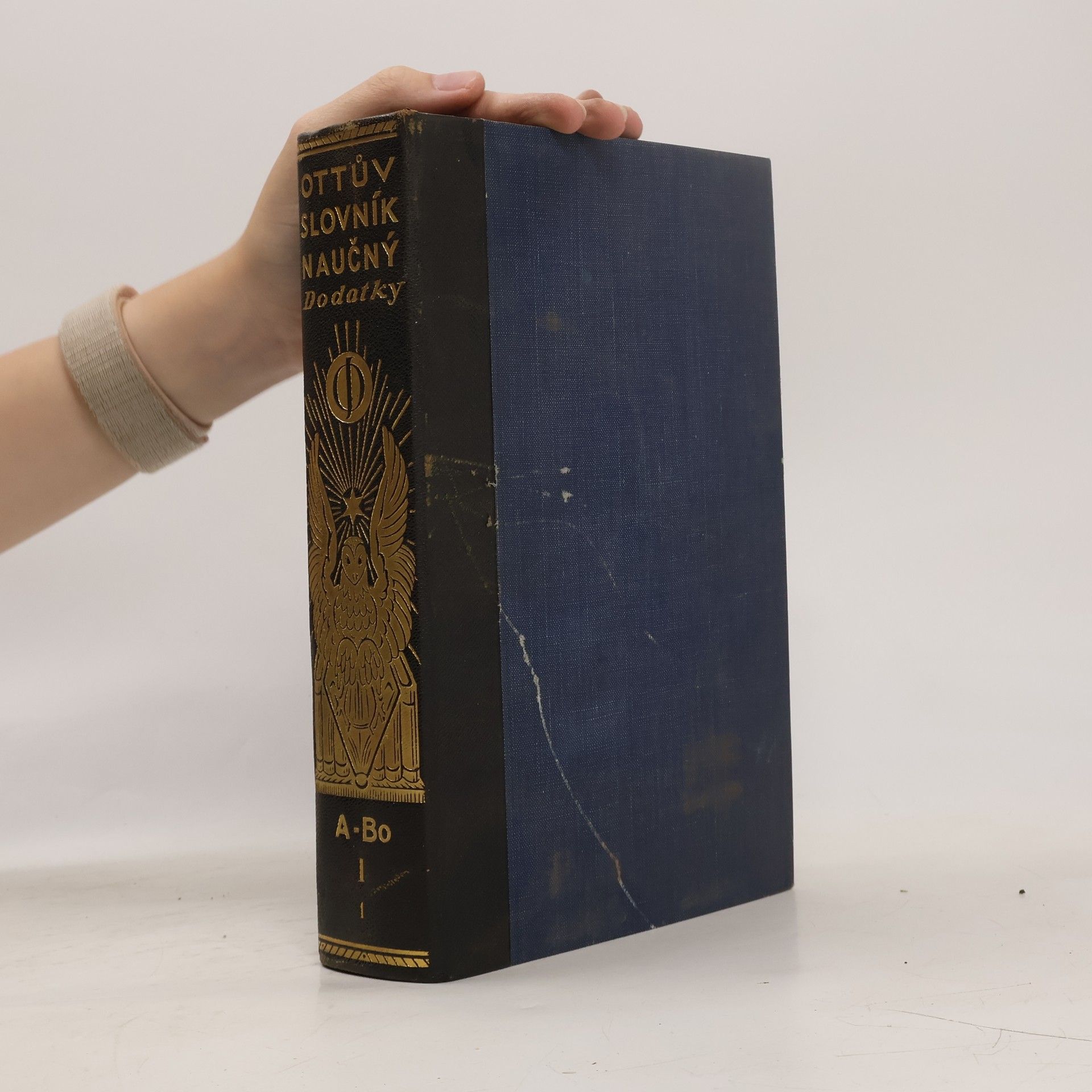 Autorenkollektiv Ottův slovník naučný nové doby. Dodatky k velikému Ottovu slovníku naučnému 1/1