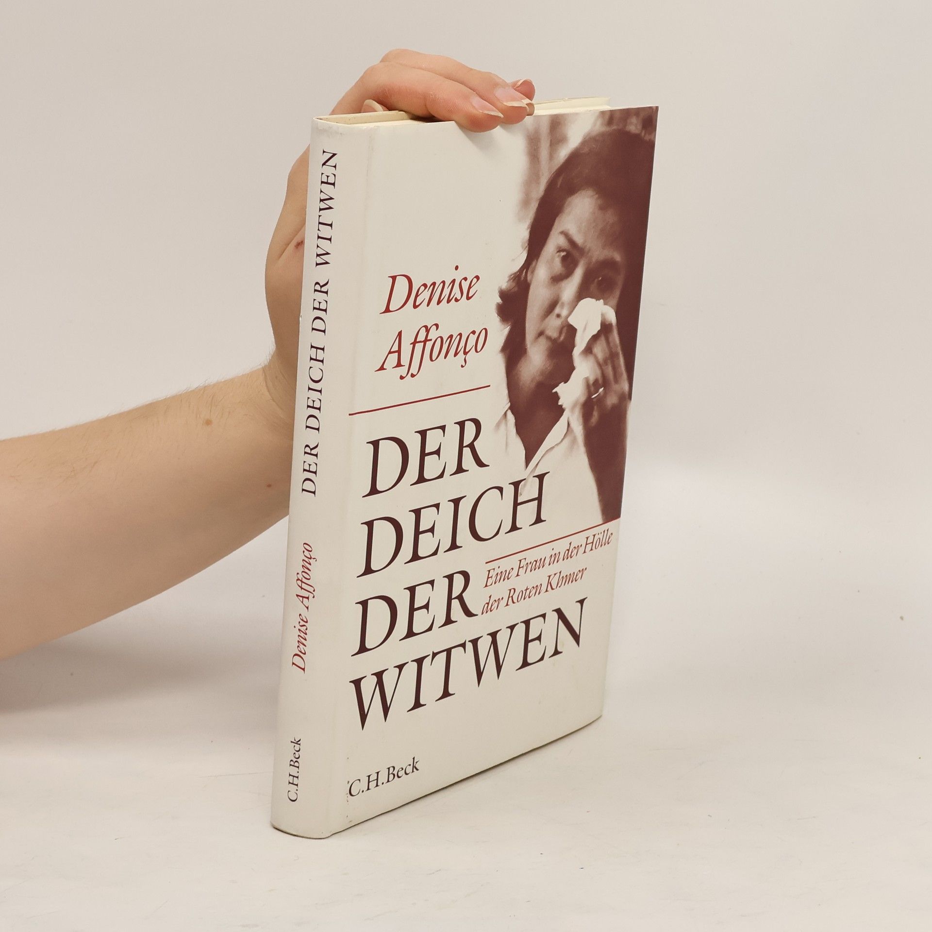 Denise Affonço Der Deich der Witwen