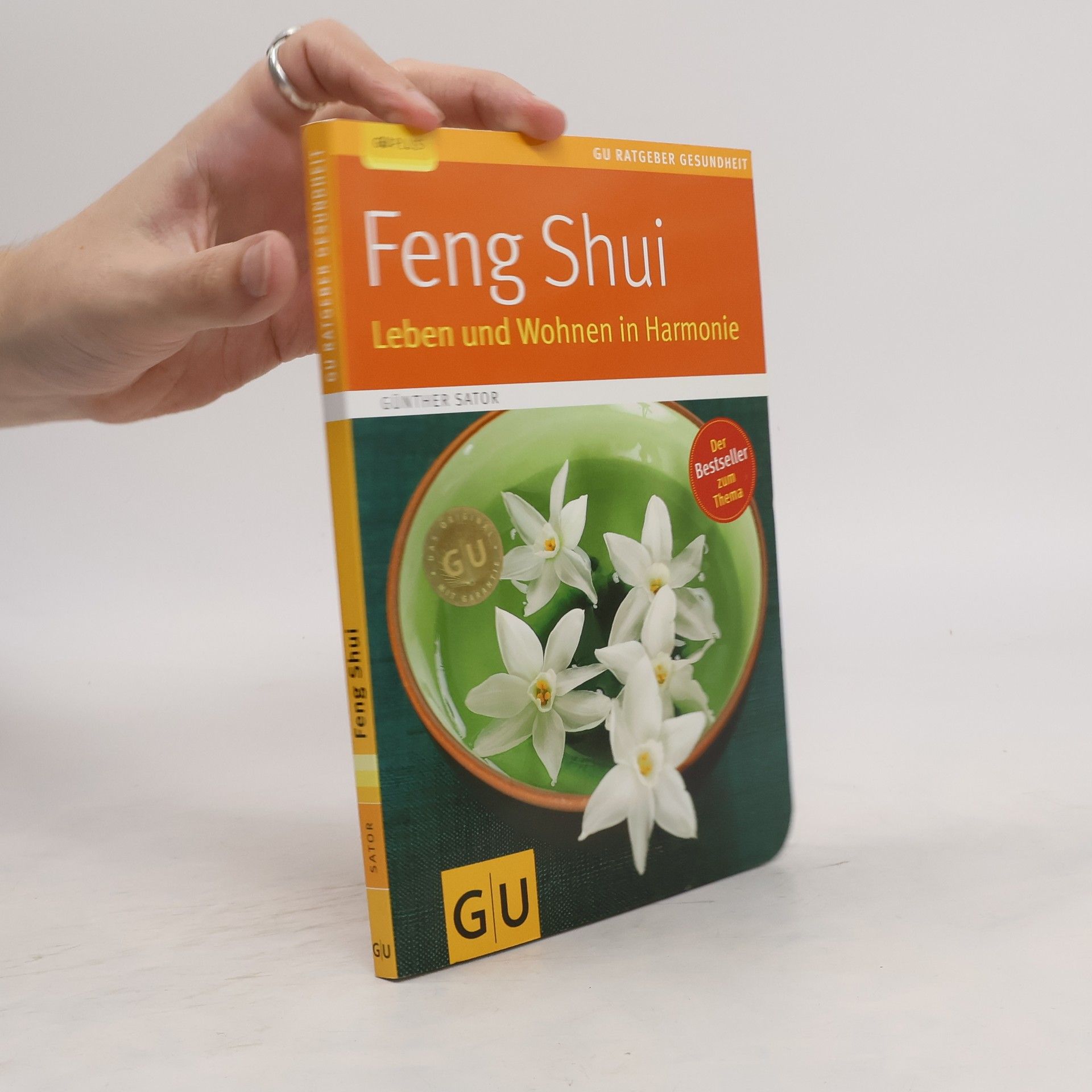 Günther Sator Feng-Shui