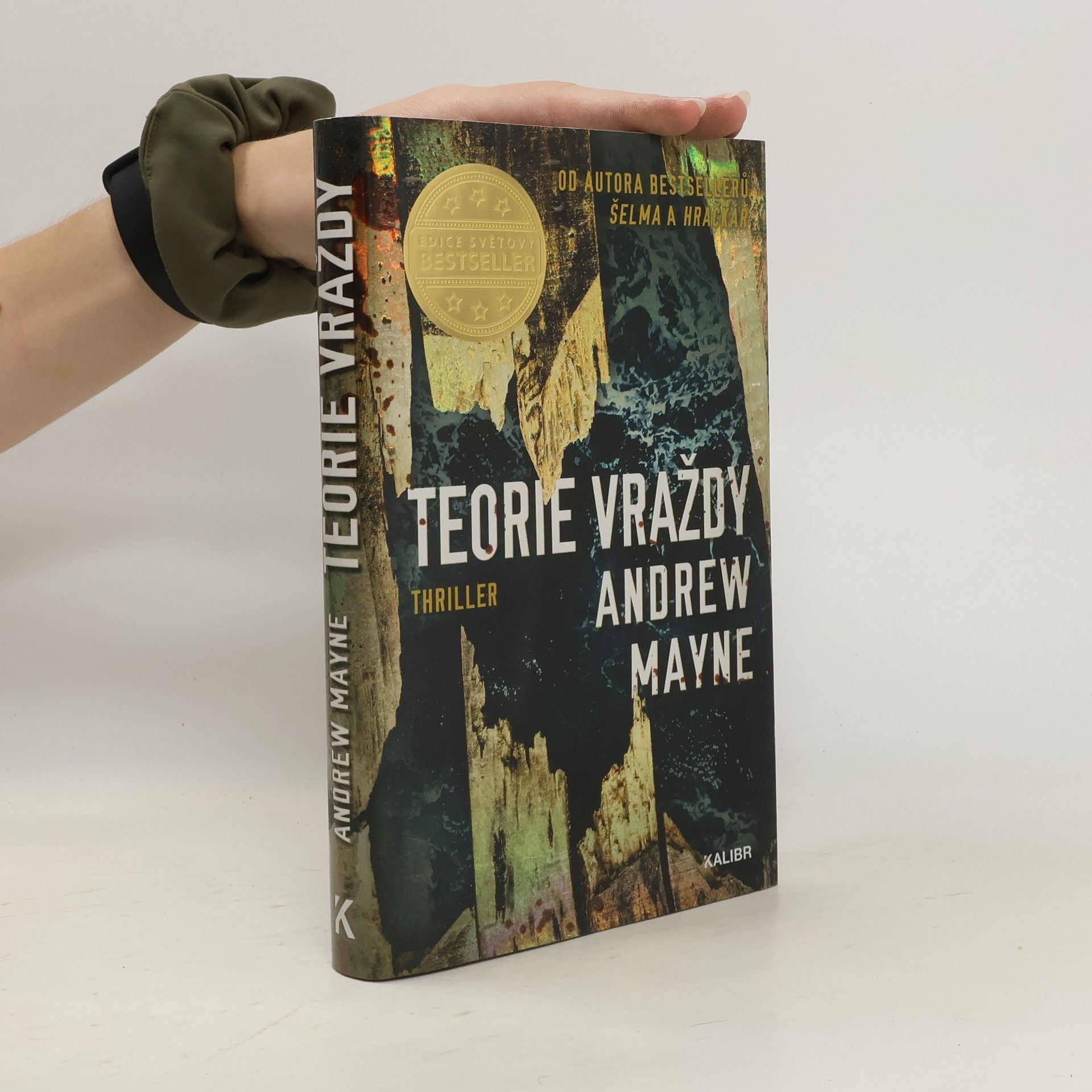 Andrew Mayne Teorie vraždy