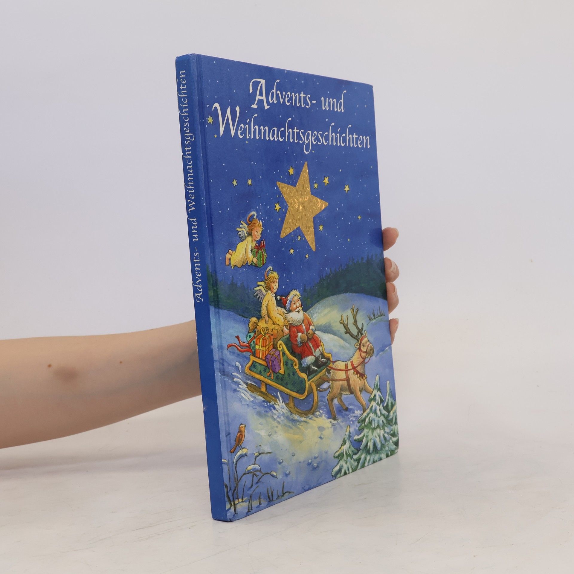 Autores varios Advents- und Weihnachtsgeschichten