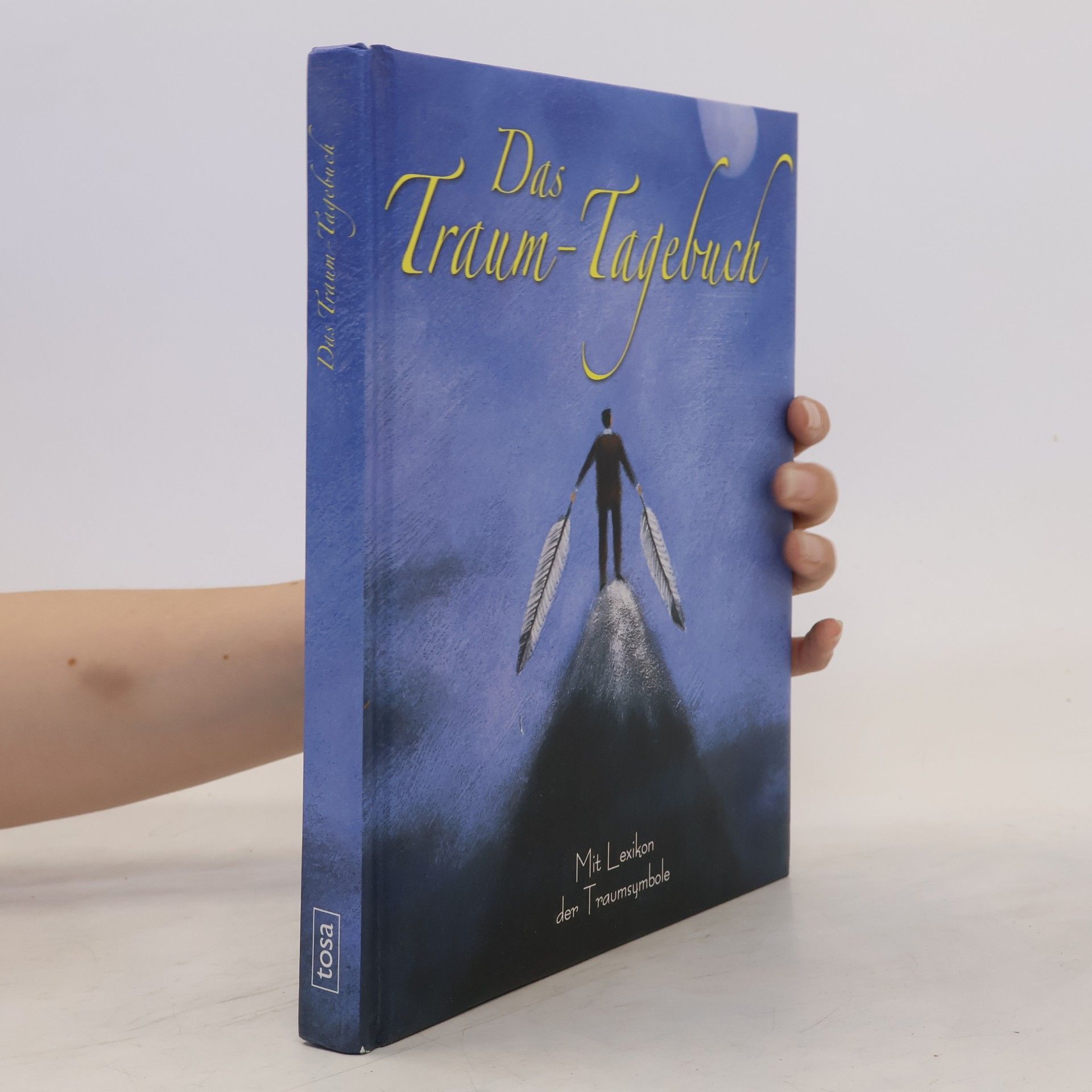 Eva Geelen Das Traum-Tagebuch