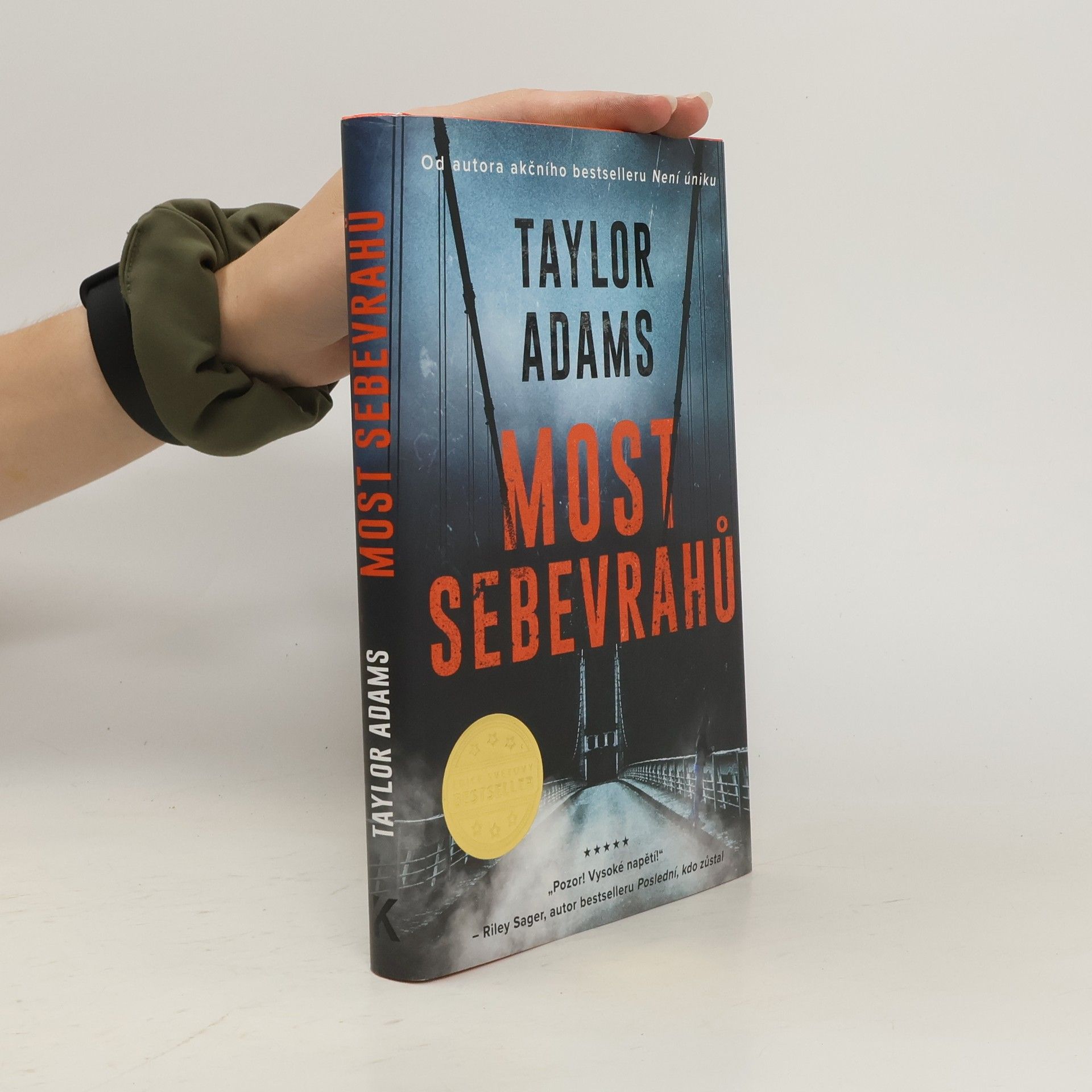 Taylor Adams Most sebevrahů