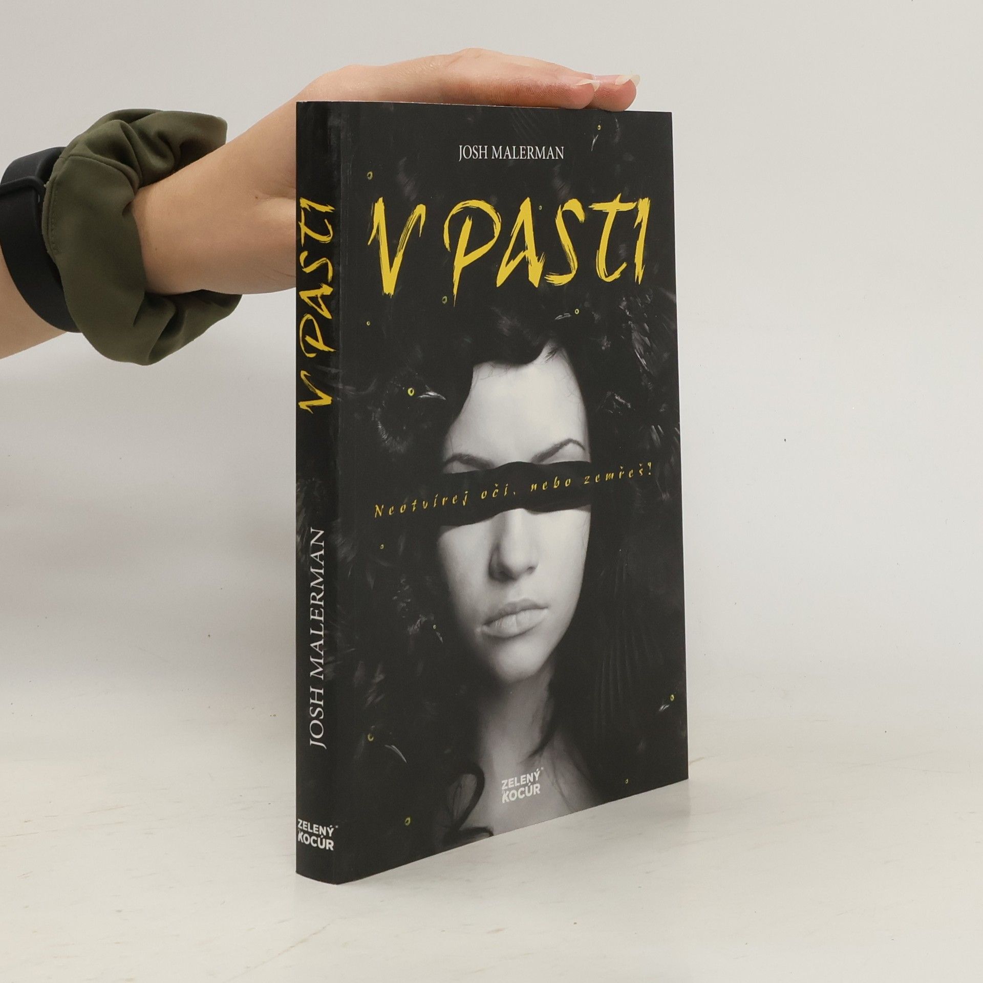 Josh Malerman V pasti