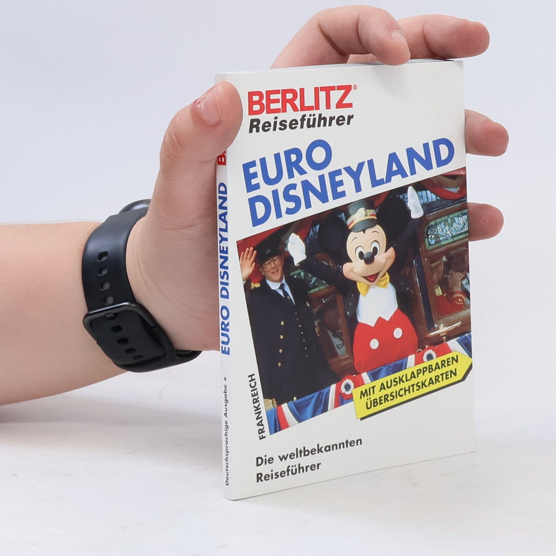 Autores varios Euro Disneyland