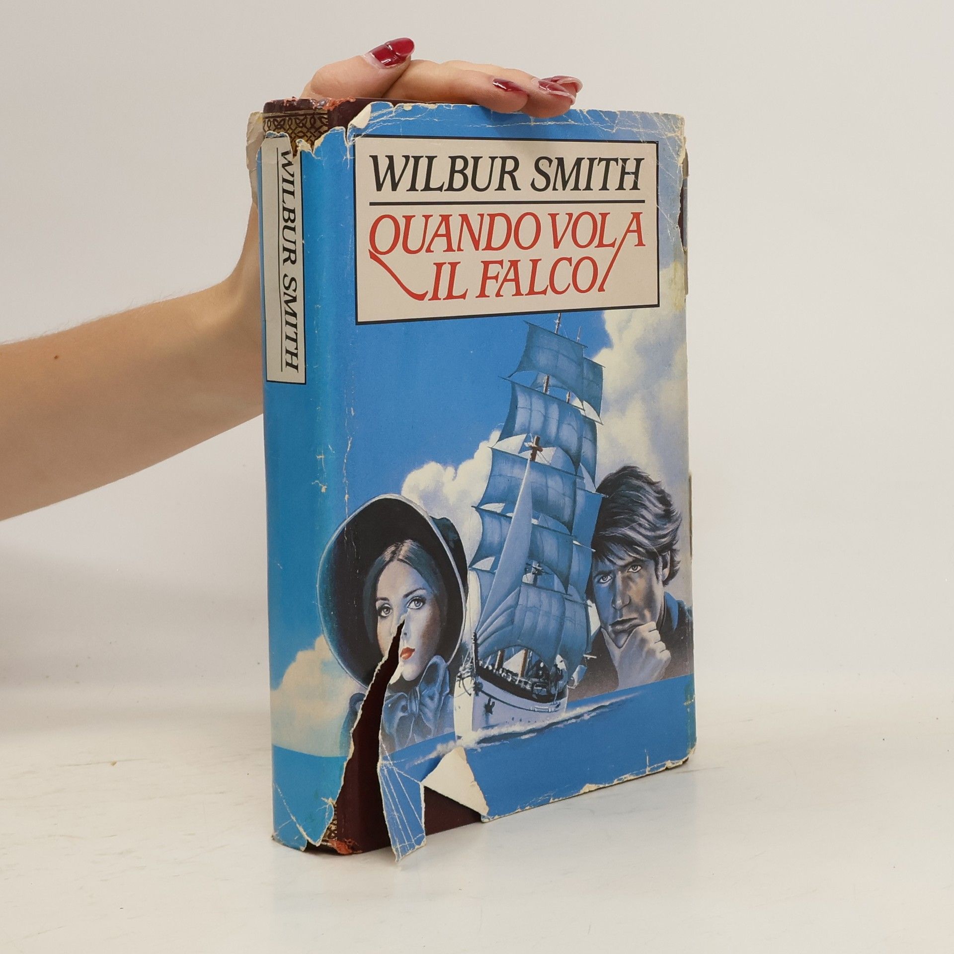 Wilbur A. Smith Quando vola il falco