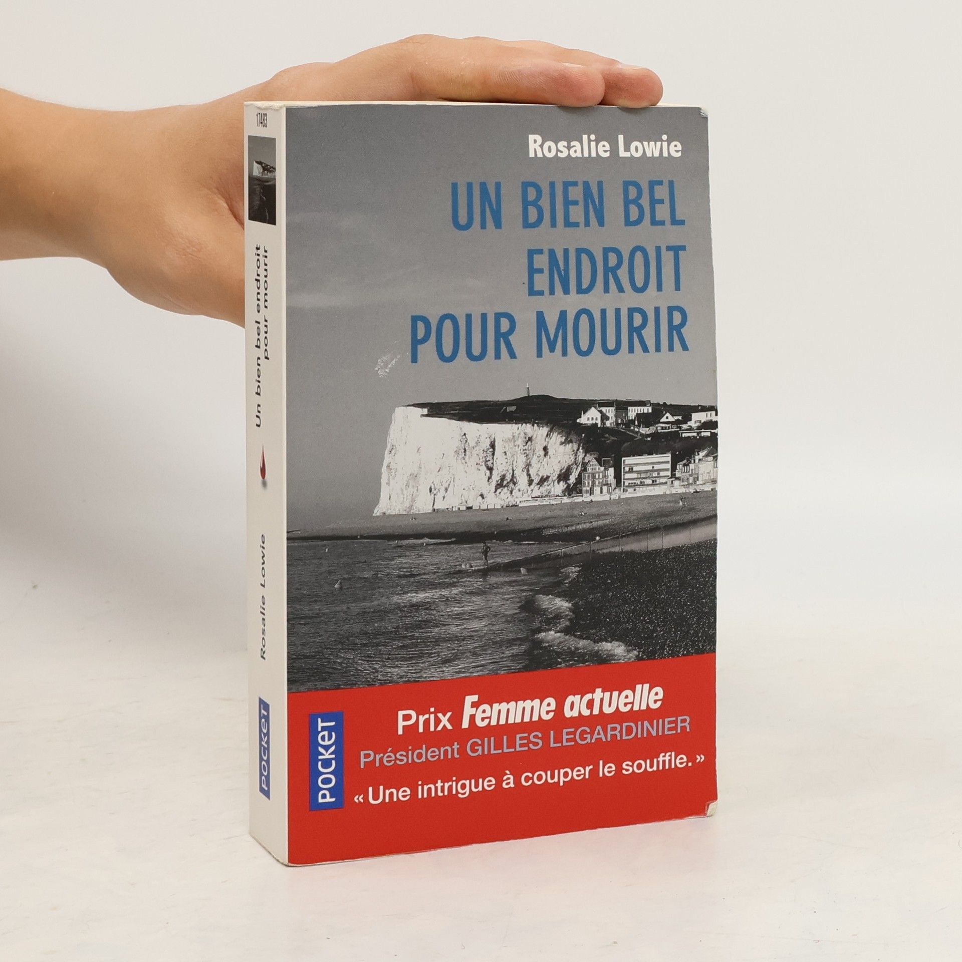Rosalie Lowie Un bien bel endroit pour mourir