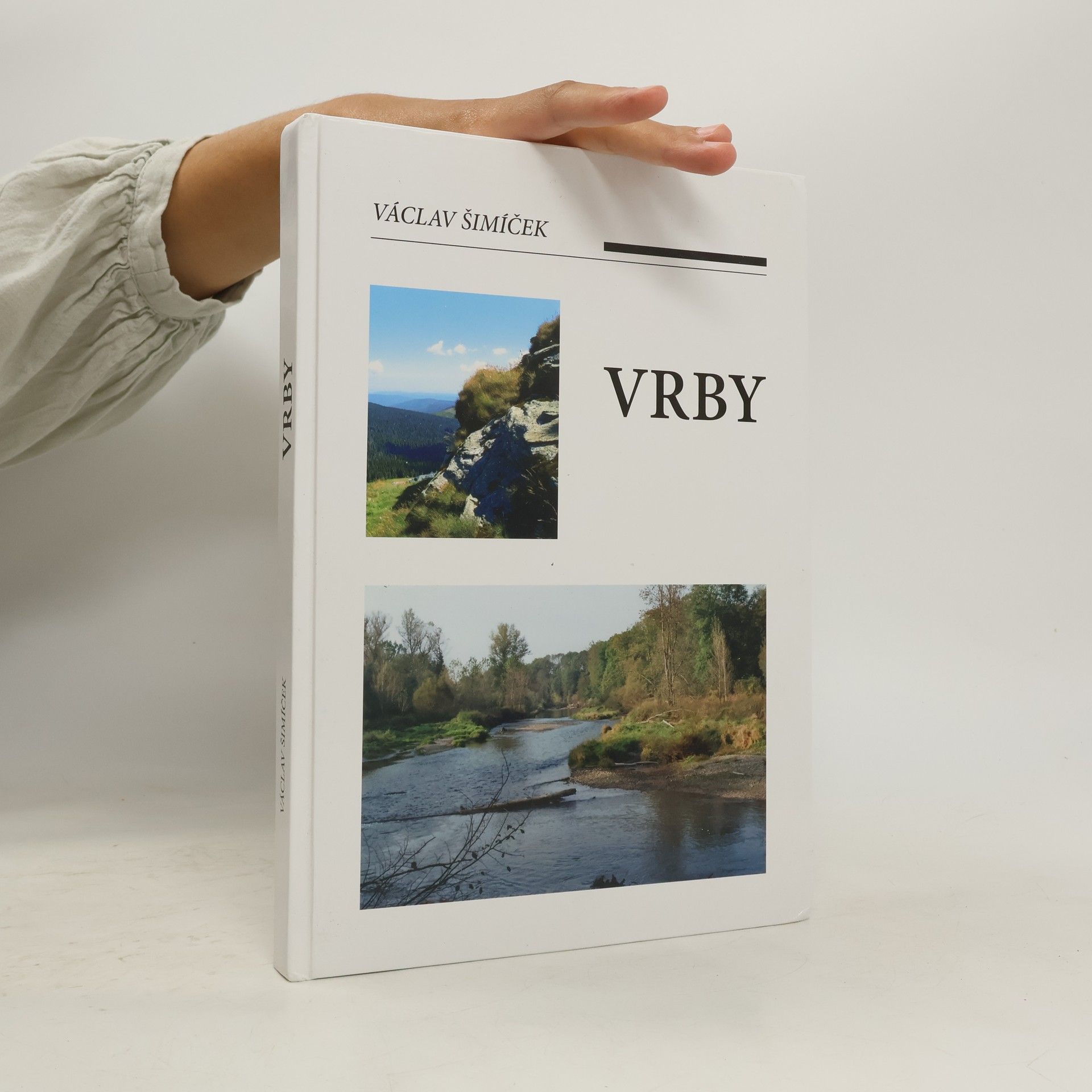 Václav Šimíček Vrby