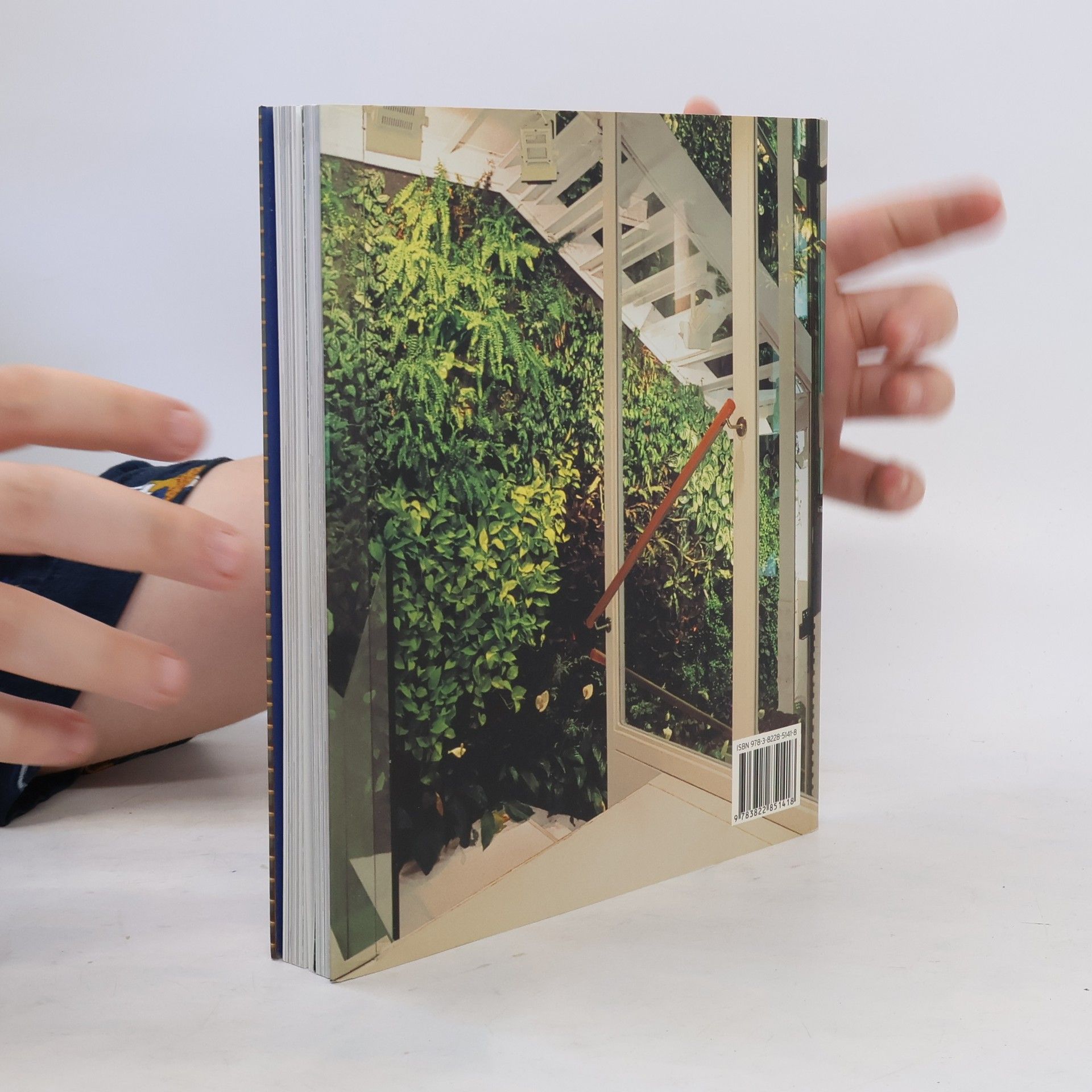 Simone Schleifer Small urban gardens