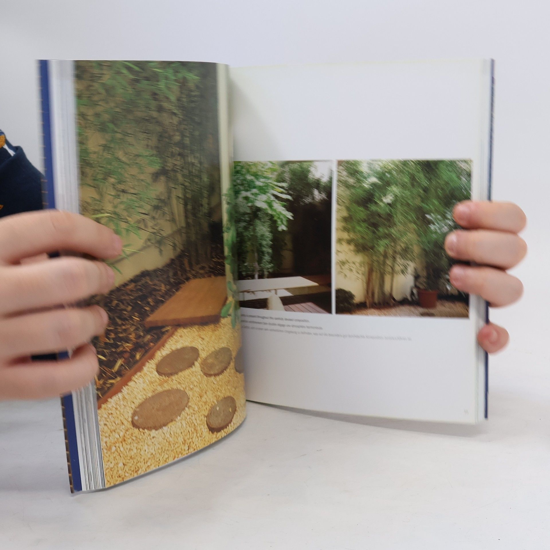 Simone Schleifer Small urban gardens