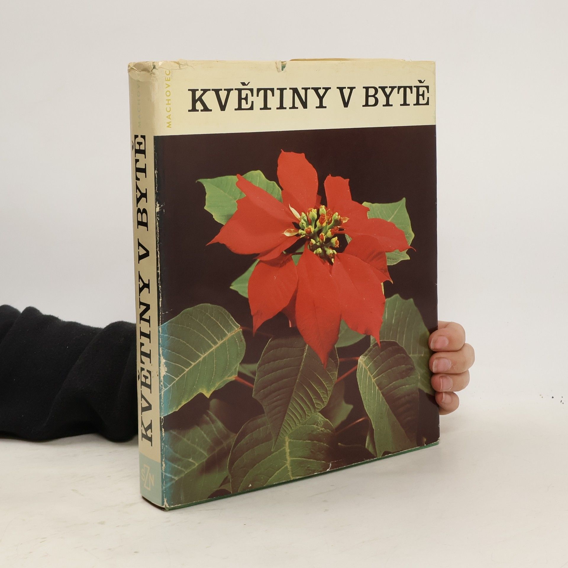 Jaroslav Machovec Květiny v bytě