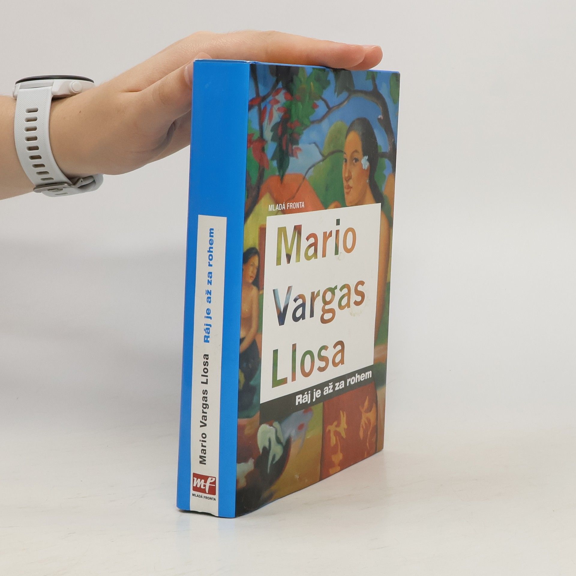 Mario Vargas Llosa Ráj je až za rohem