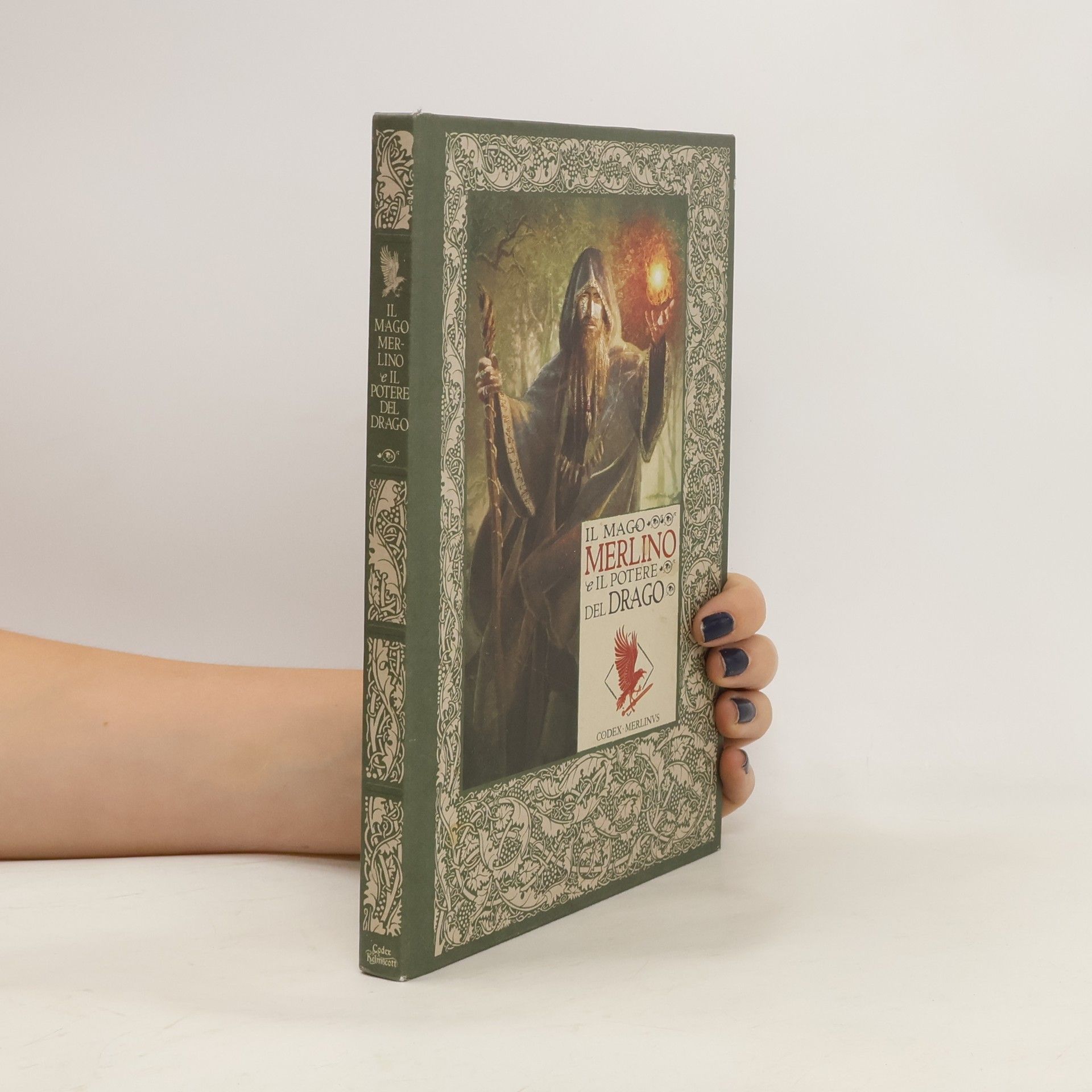Collectif d'auteurs Il Mago Merlino e il potere del drago