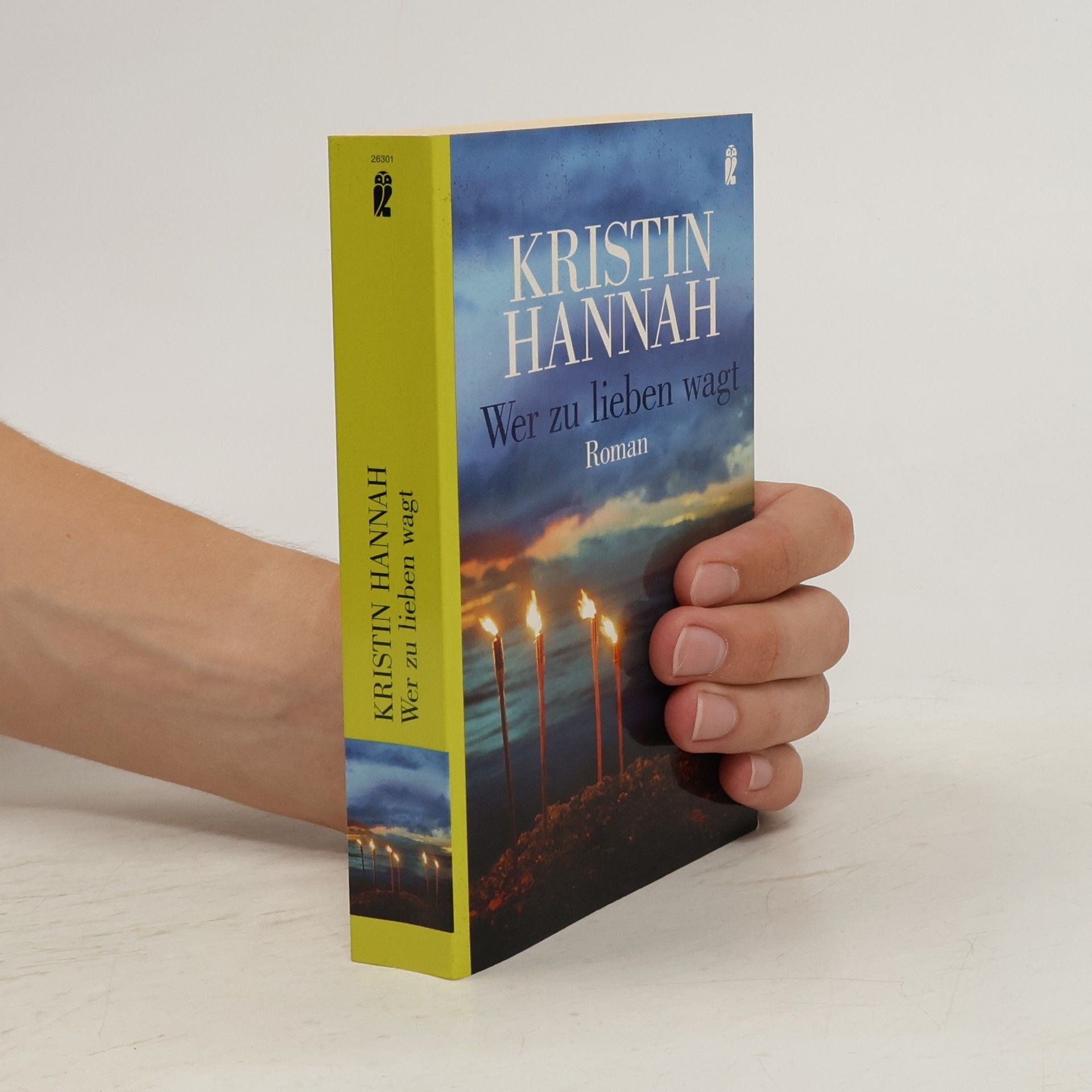 Kristin Hannah Wer zu lieben wagt