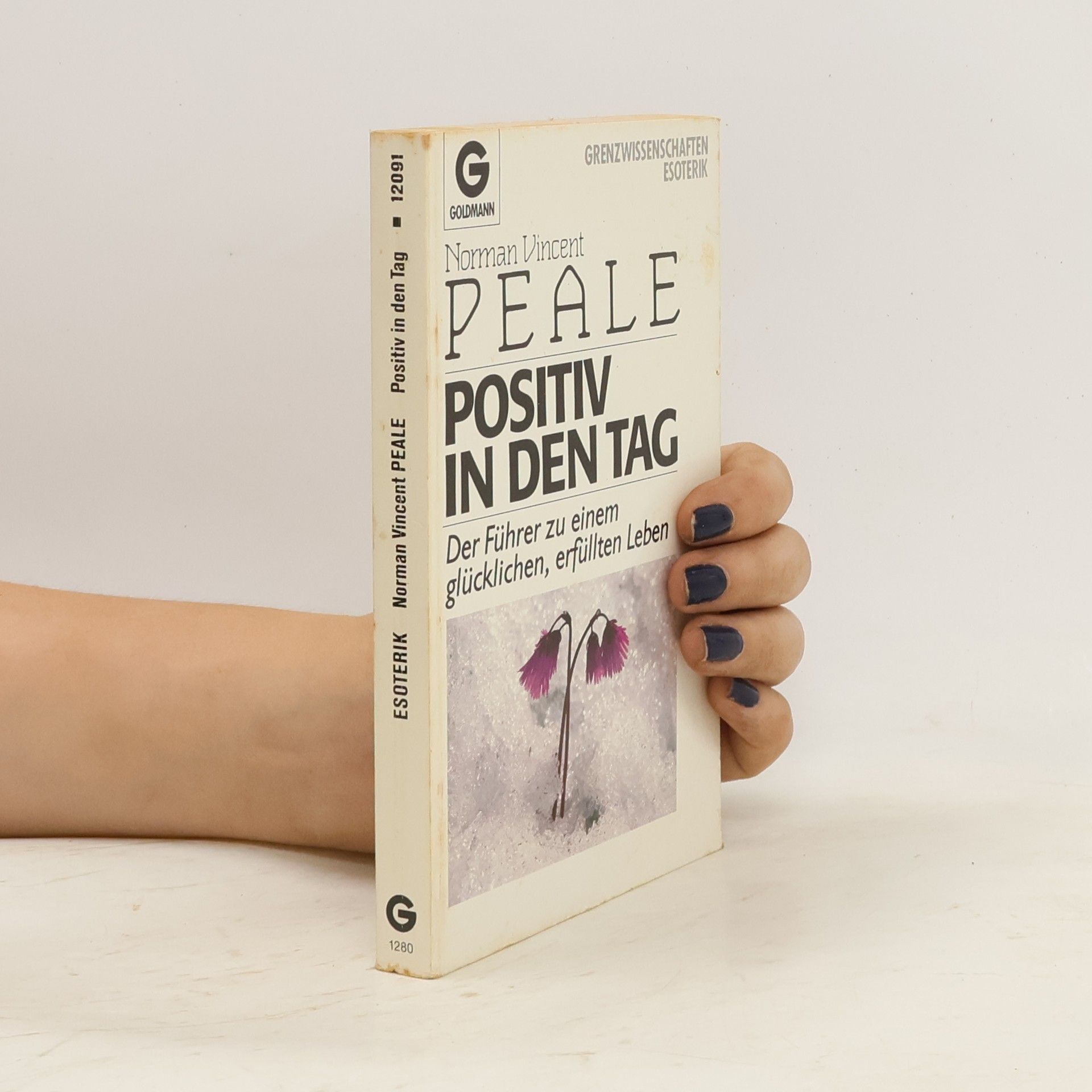 Norman Vincent Peale Positiv in den Tag