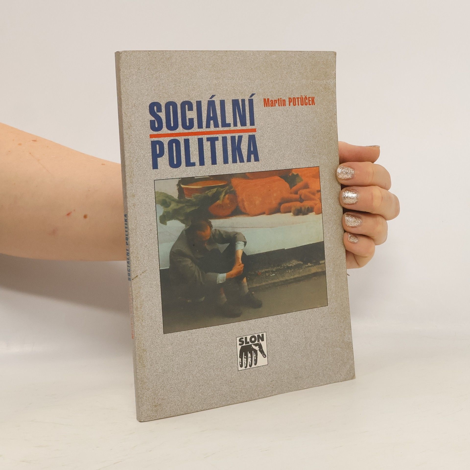 Martin Potůček Sociální politika
