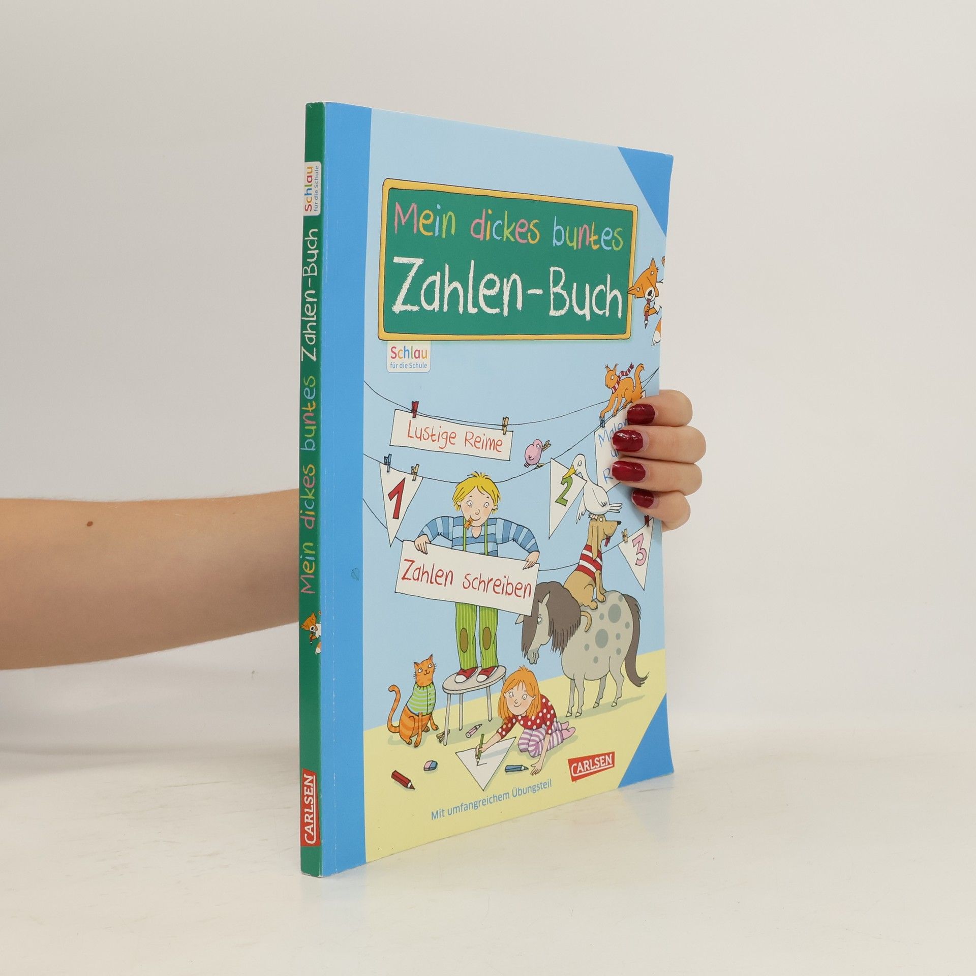 Sabine Rothmund Schlau für die Schule: Mein dickes buntes Zahlen-Buch