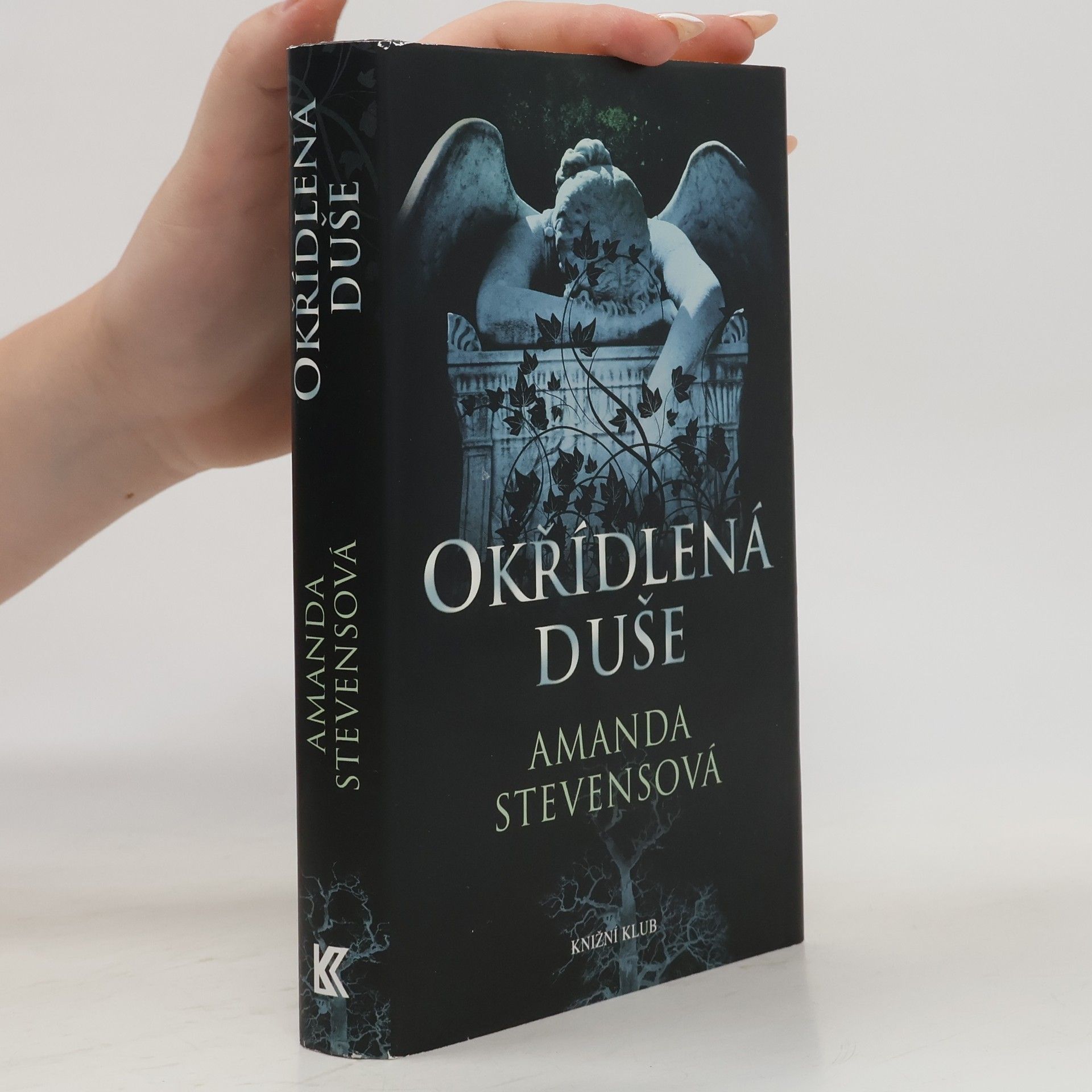 Amanda Stevens Okřídlená duše