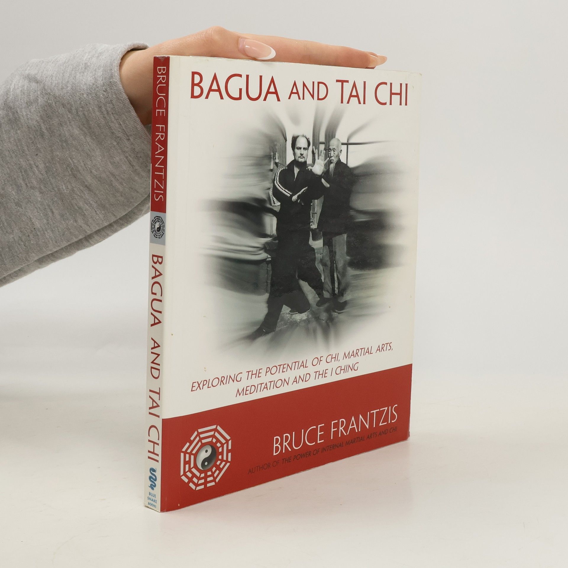 Bruce Kumar Frantzis Bagua and Tai Chi