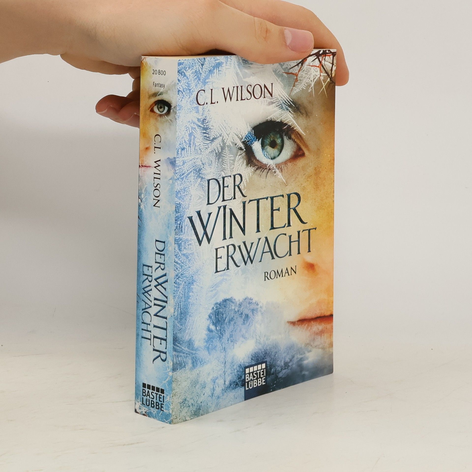 C. L. Wilson Der Winter Erwacht