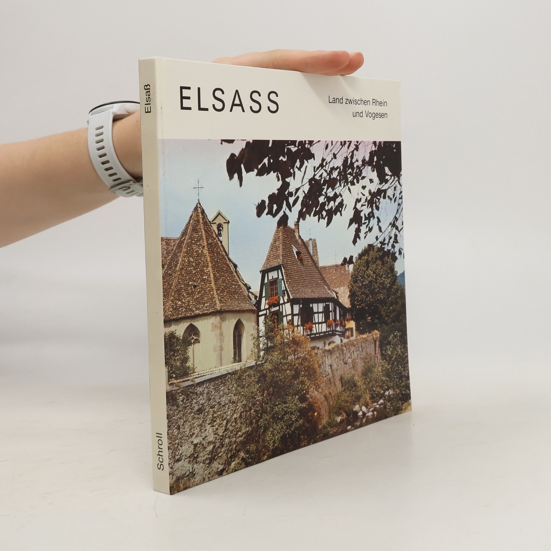 Rudolf Ritter Elsass