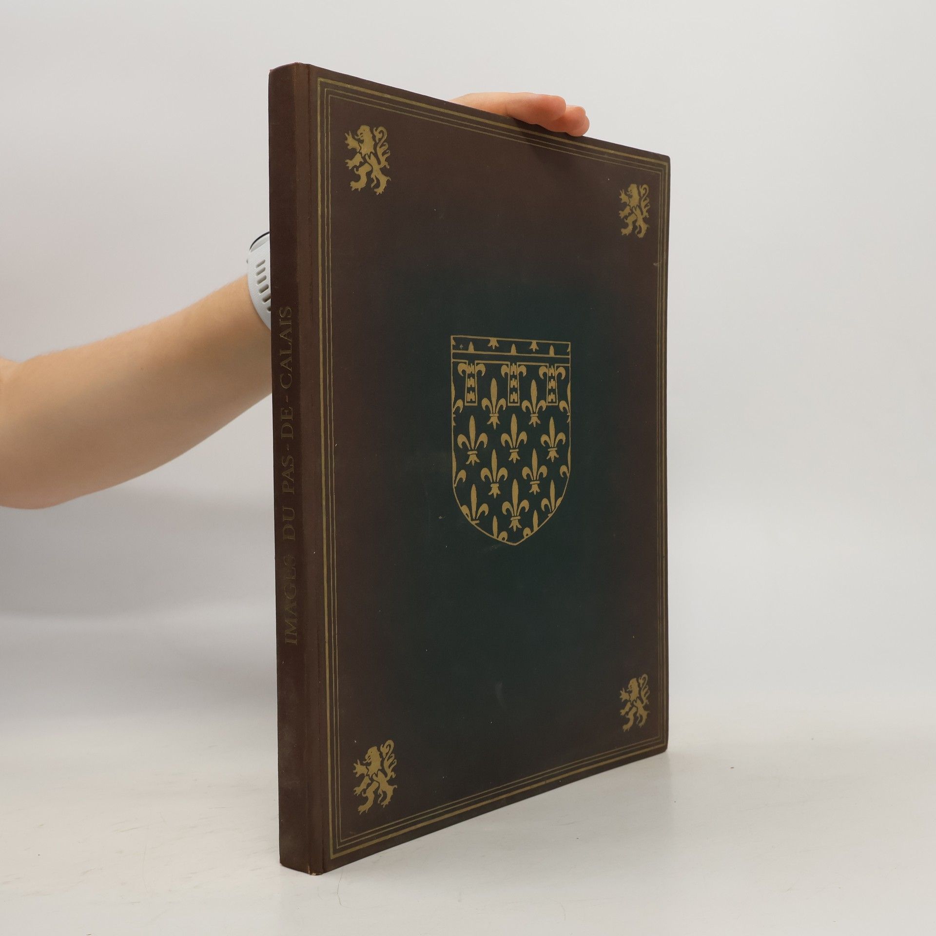 Collectif d'auteurs La Revue Géographique et Industrielle de France