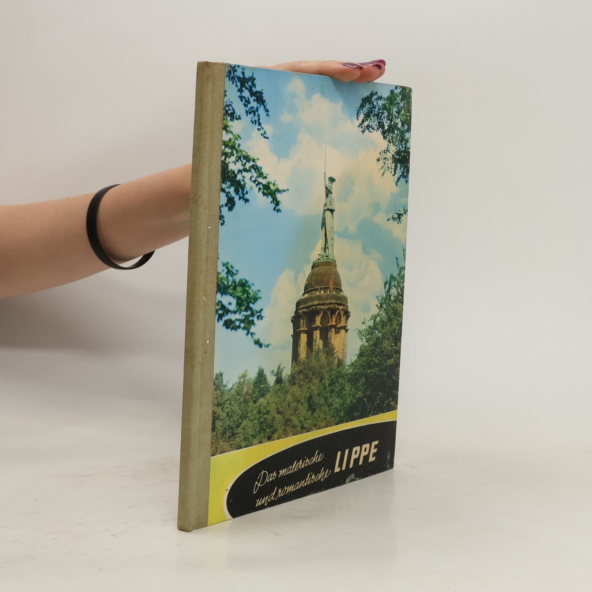 AA.VV. Das malerische und romantische Lippe