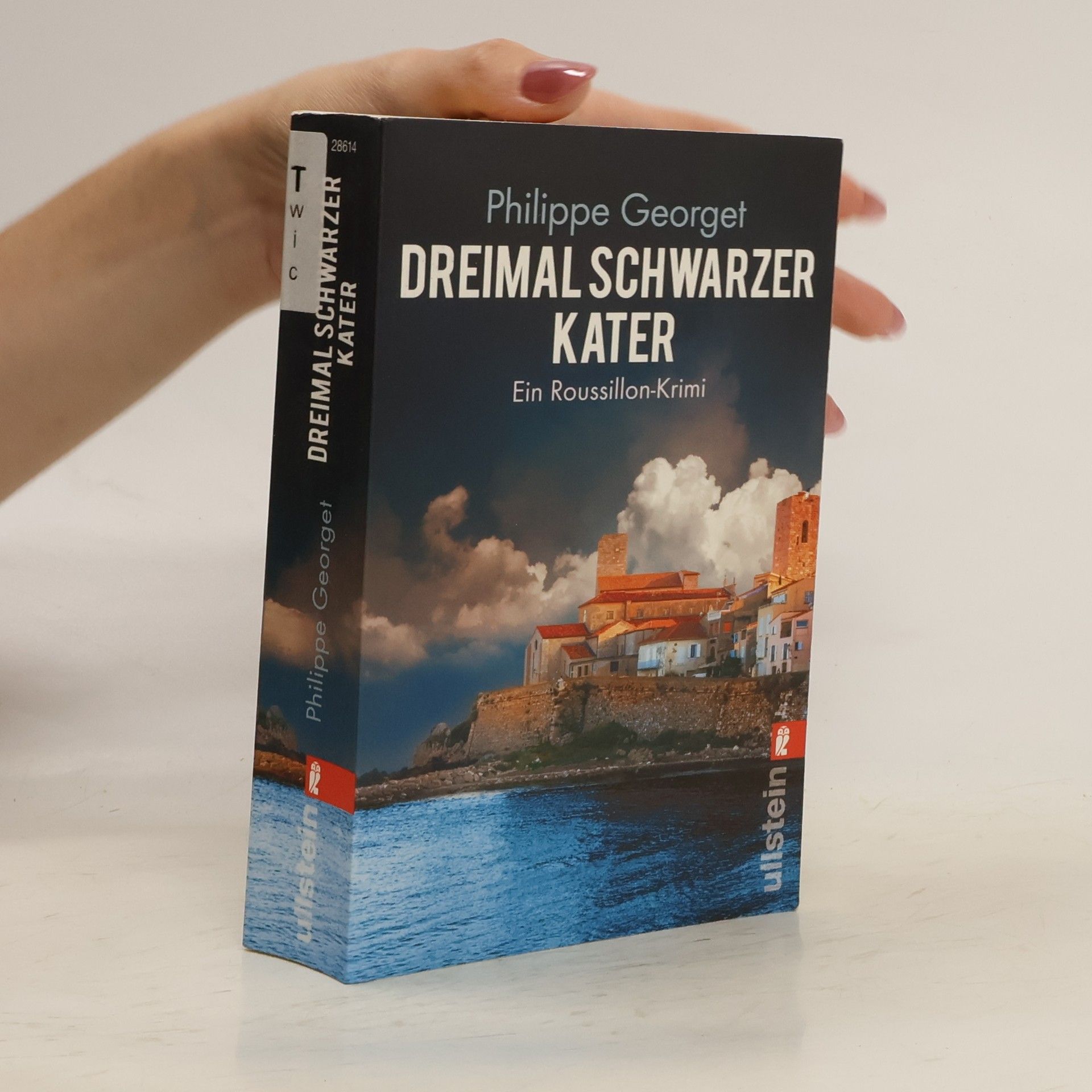 Philippe Georget Dreimal schwarzer Kater