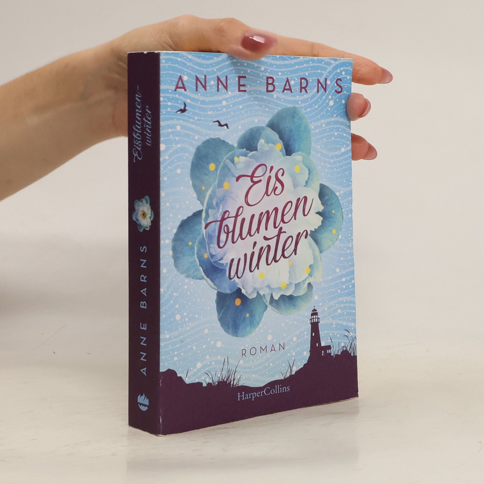 Anne Barns Eisblumenwinter