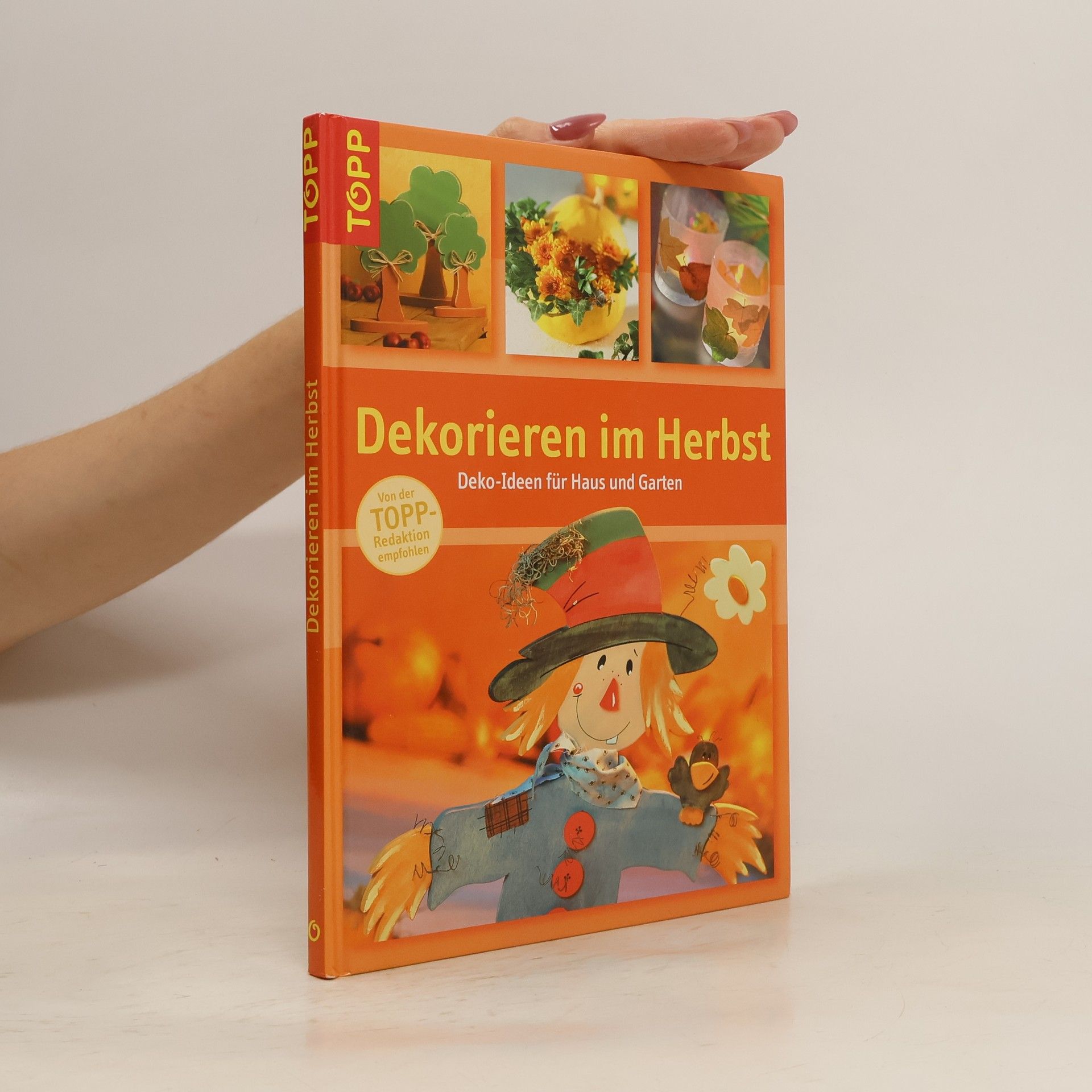 Autorenkollektiv Dekorieren im Herbst