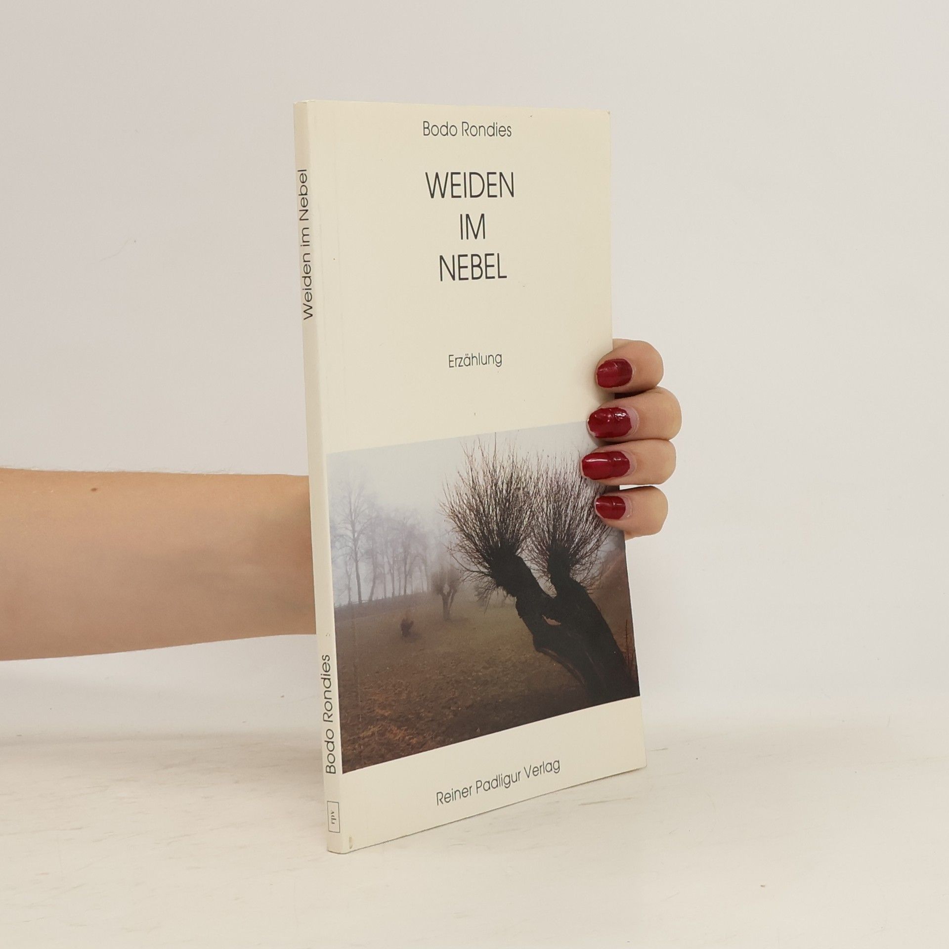 Bodo Rondies Weiden im Nebel