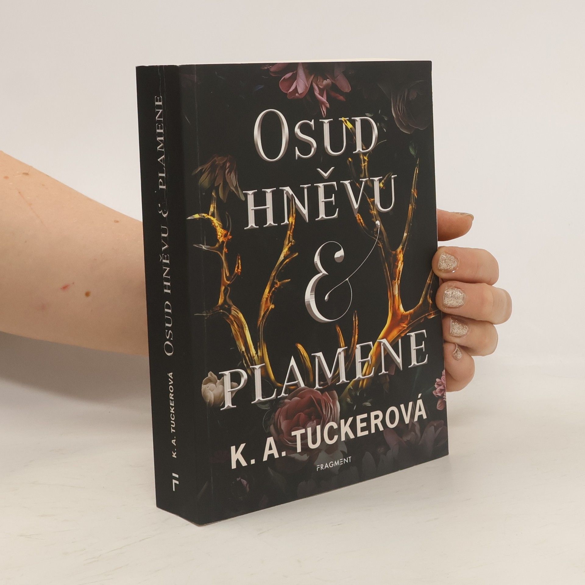 K.A. Tucker Osud hněvu & plamene