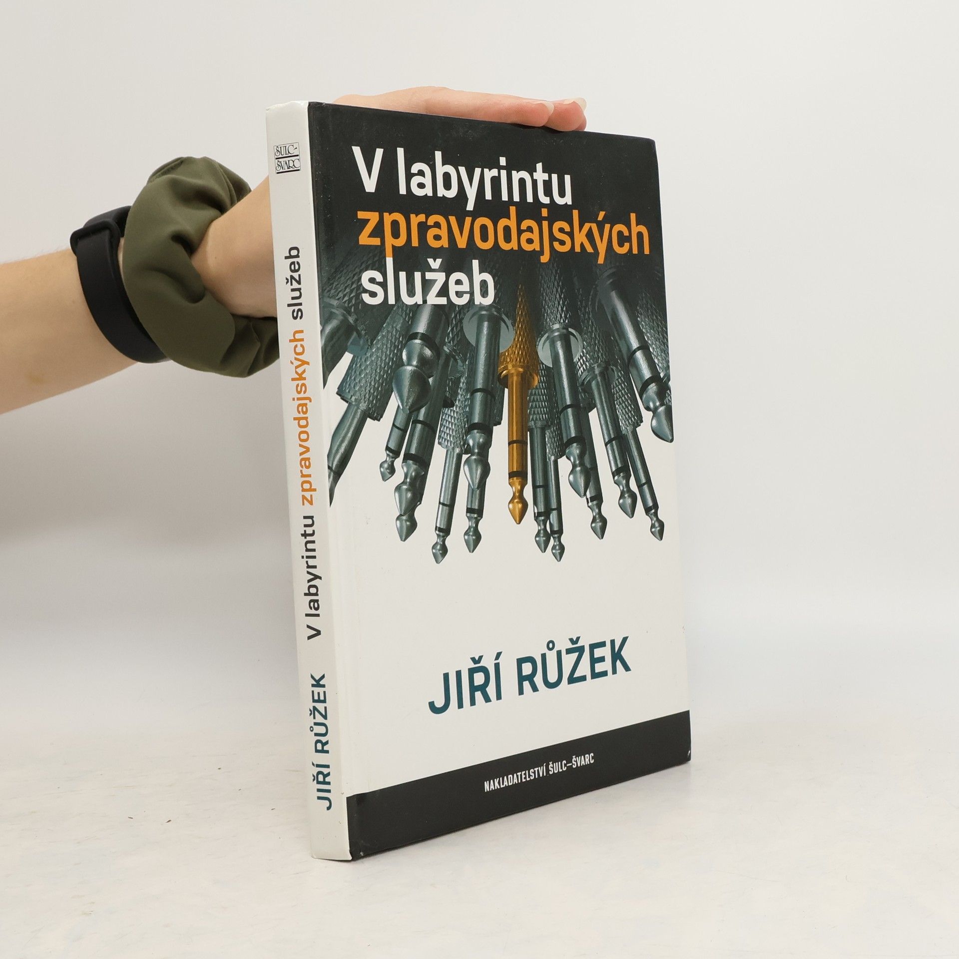 Jiří Růžek V labyrintu zpravodajských služeb