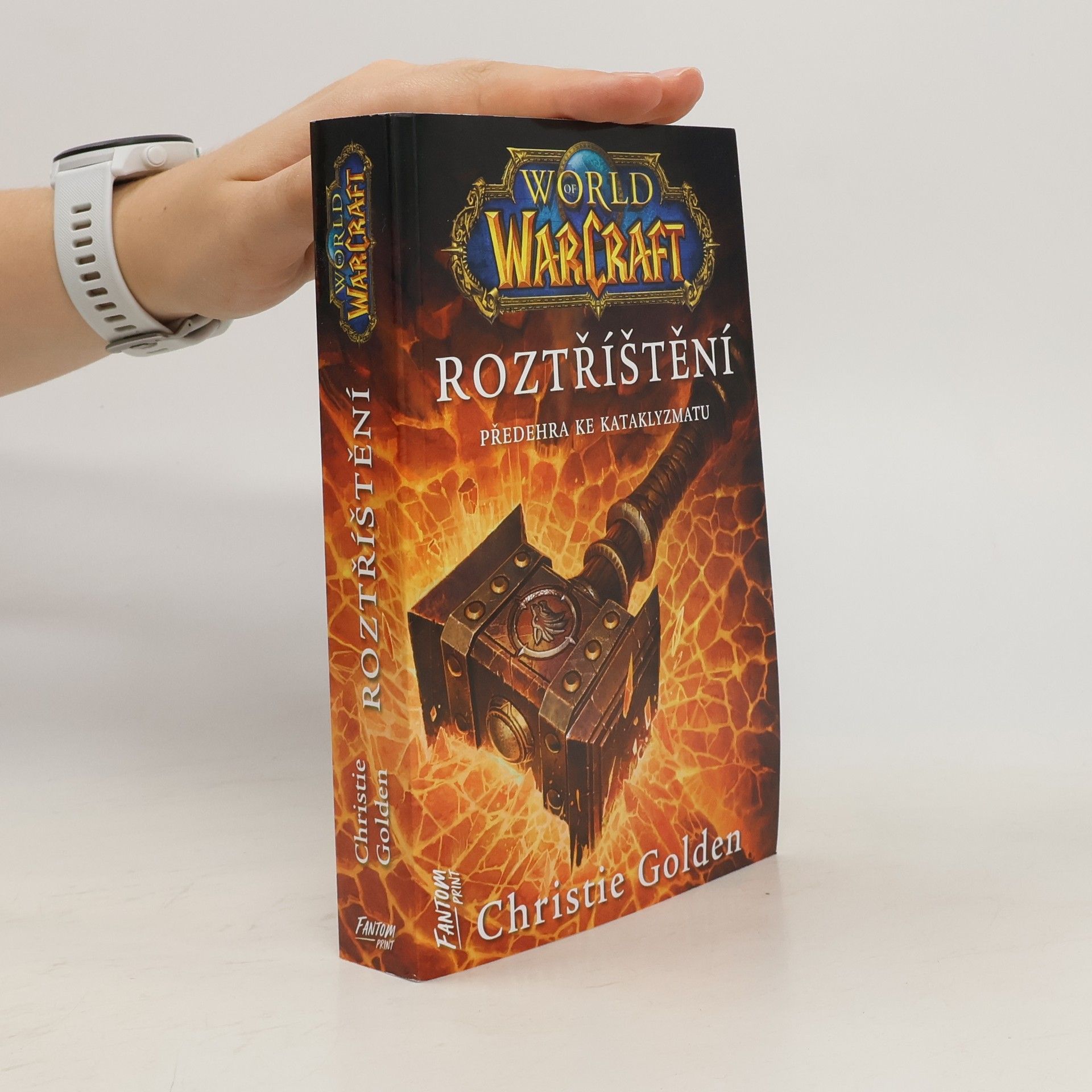 Christie Golden World of WarCraft. Roztříštění: Předehra ke Kataklyzmatu